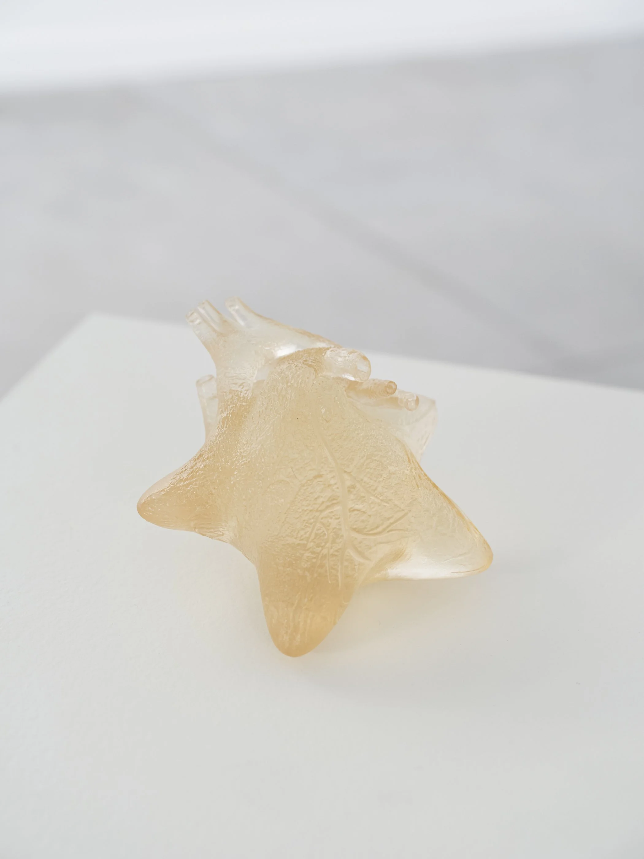 Lulu Luyao Chang / Star-heart, 2025 / resin and acrylic medium. 6.5" x 6" x 3.75"