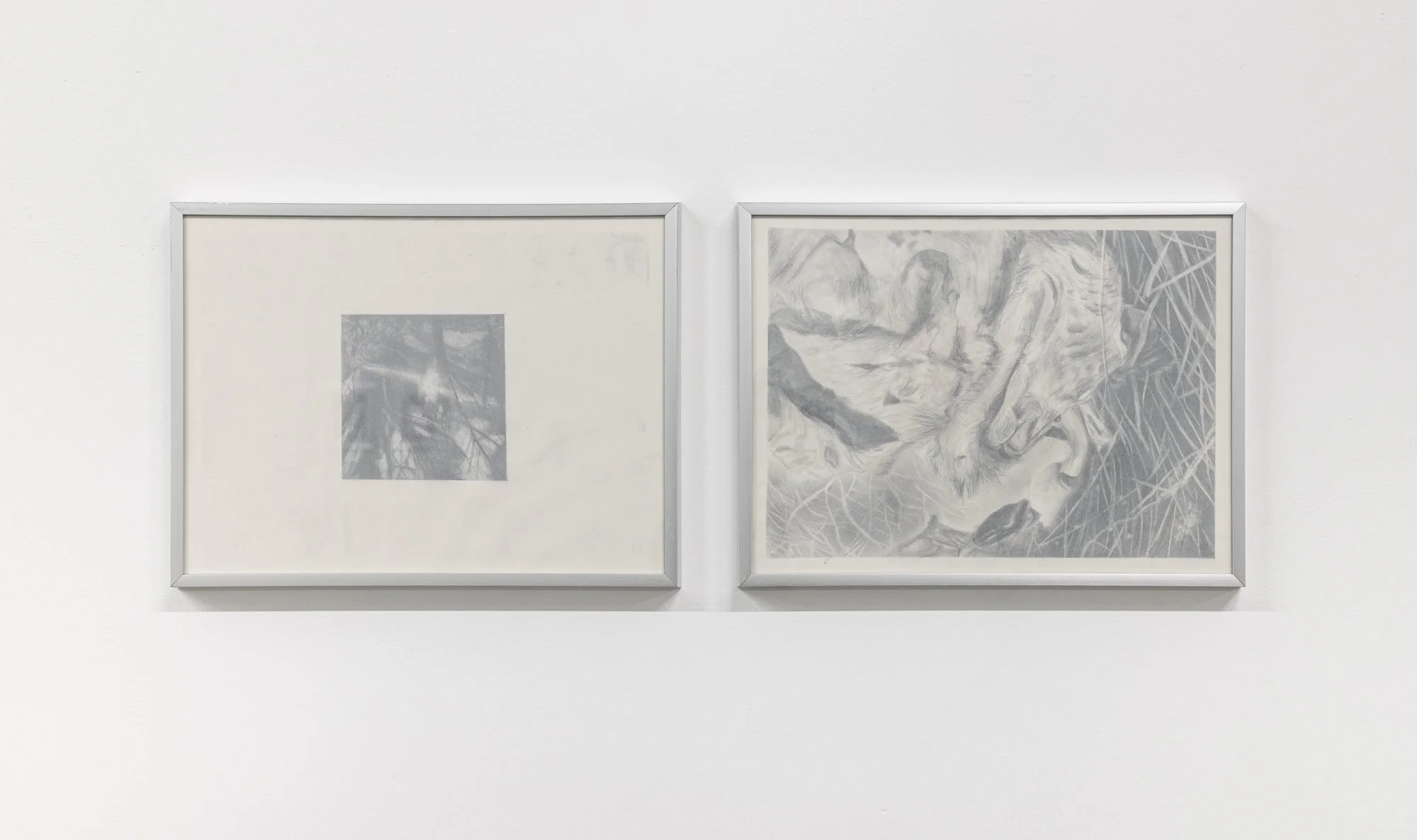 2025-03 - AFTER IMAGE 003 3.jpg