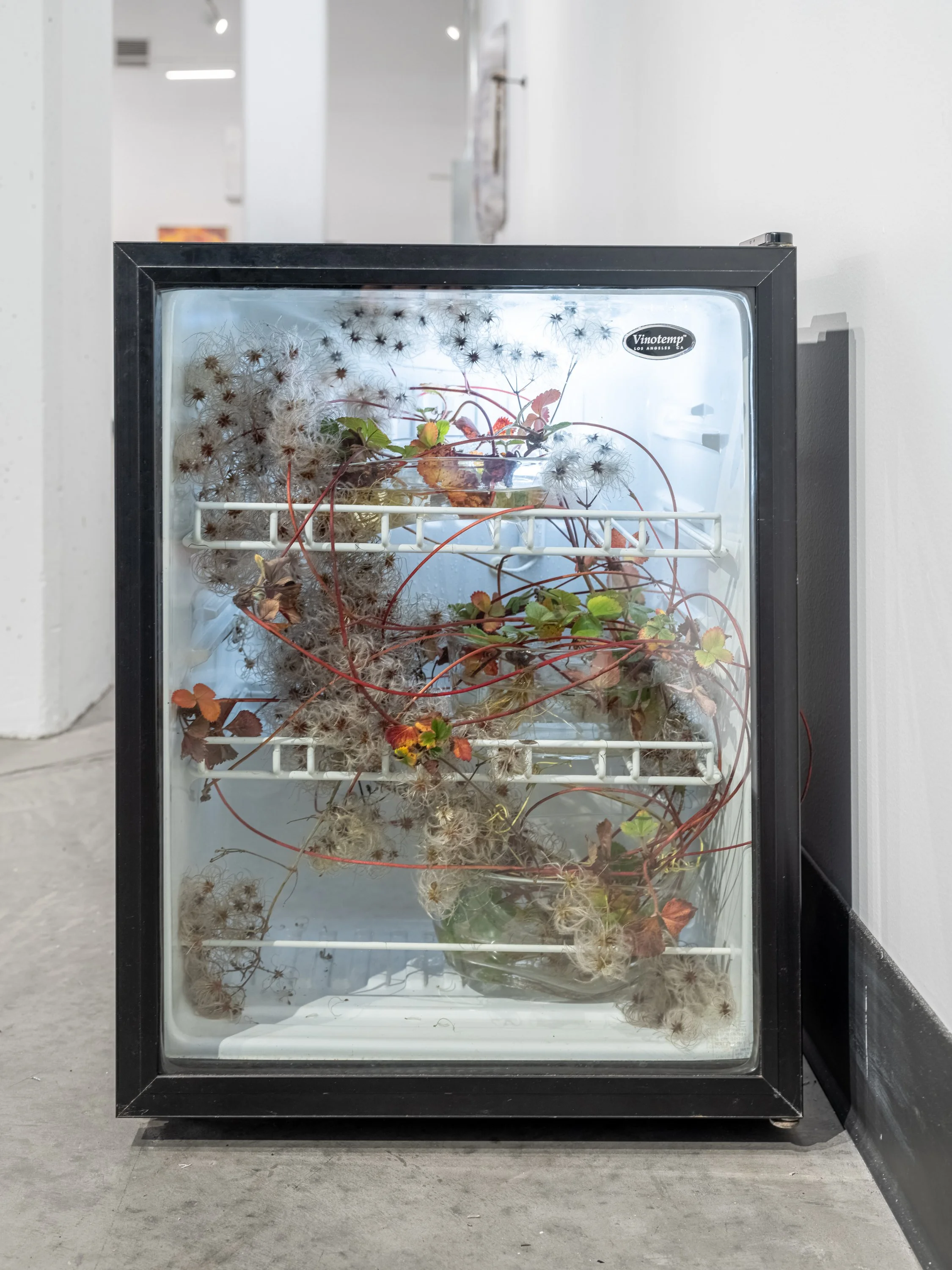 2025-11 - Uncertainty 23.jpg