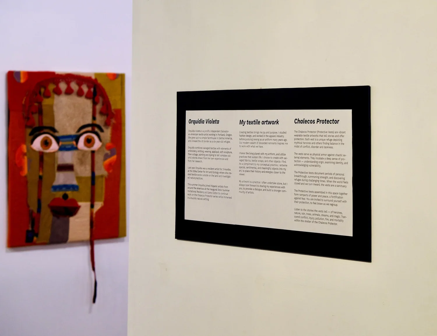 2024-10 - Orquidia Violeta 1.webp