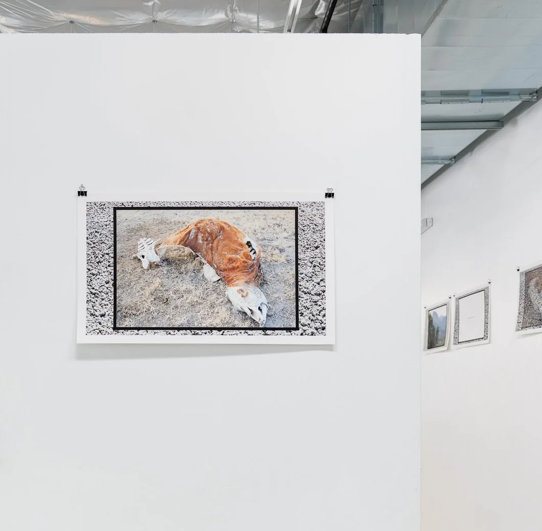 2025-07 - Dylan Hester 13.jpg