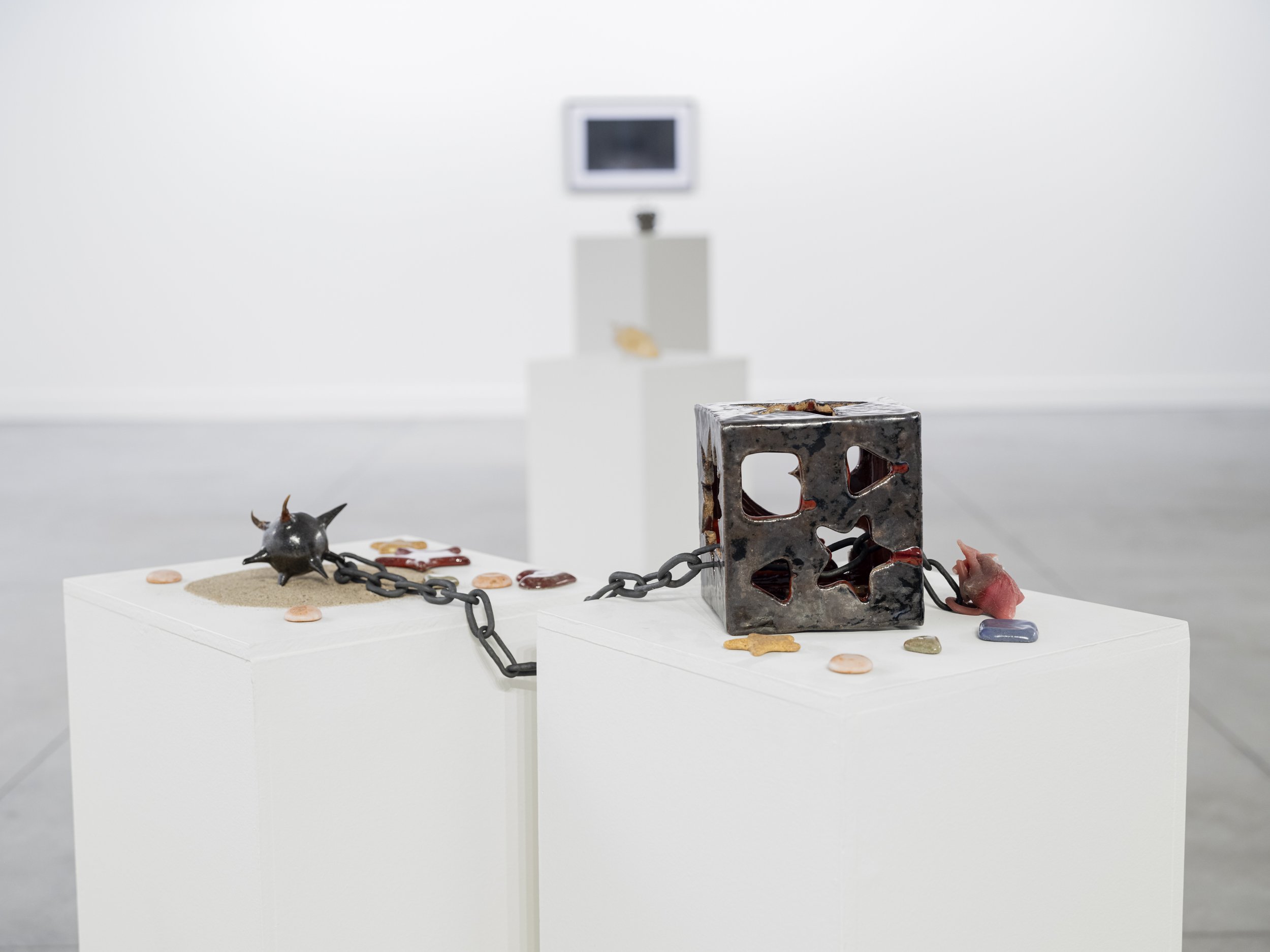 2026-02 - Whispering Flight 12E.jpg