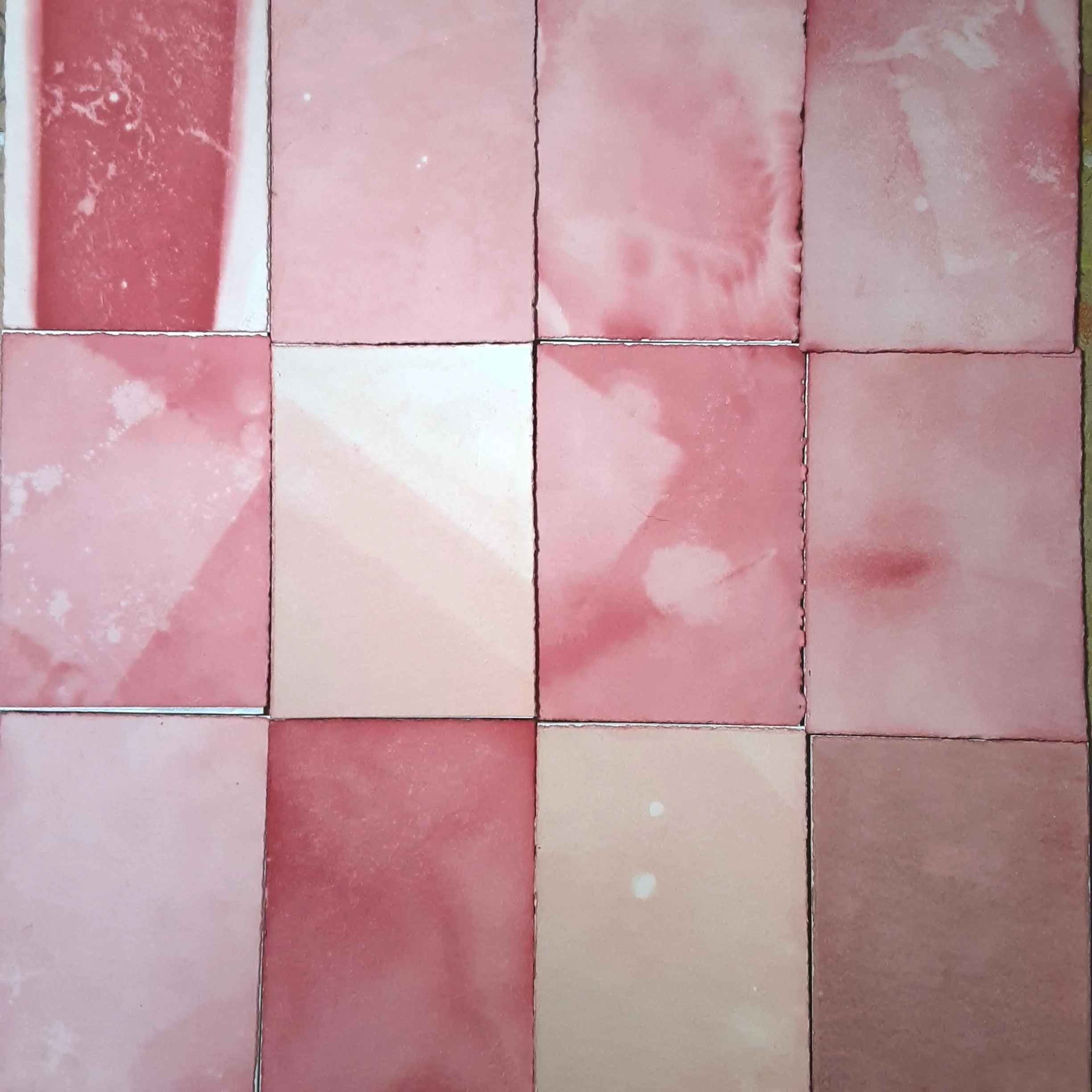 July 2022 / Isaac Yoder