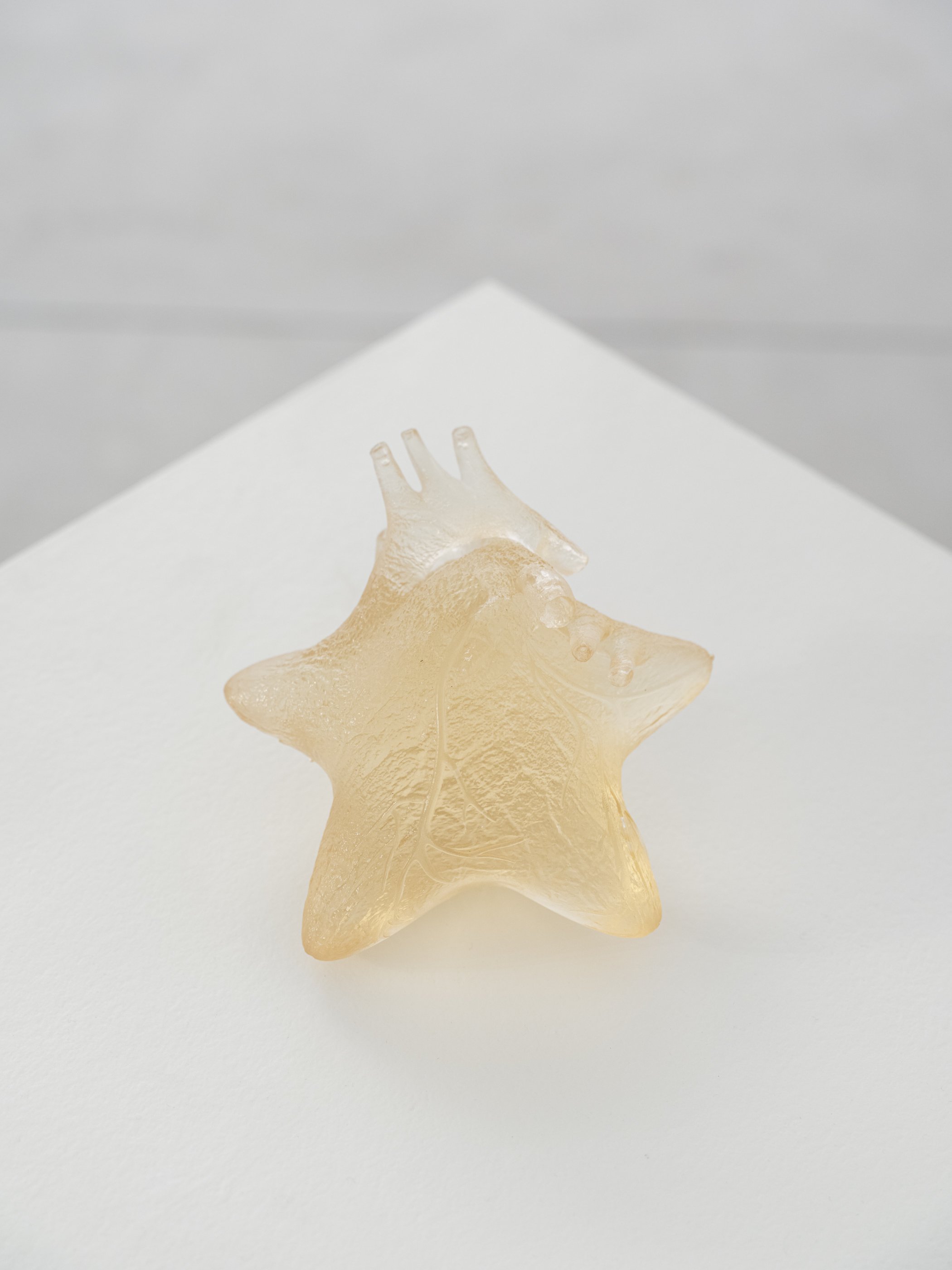 2026-02 - Whispering Flight 13B.jpg