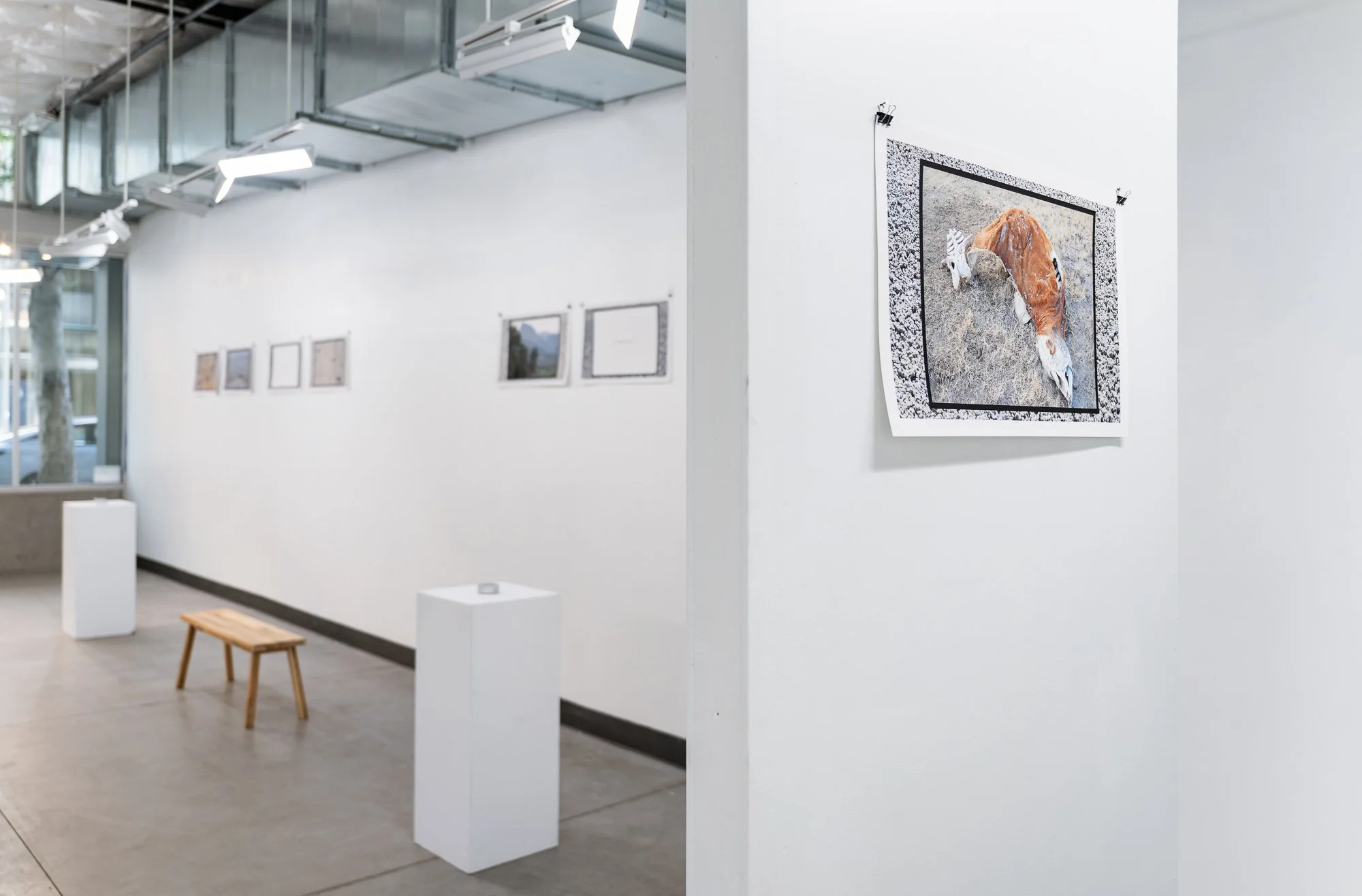 2025-07 - Dylan Hester 22.jpg