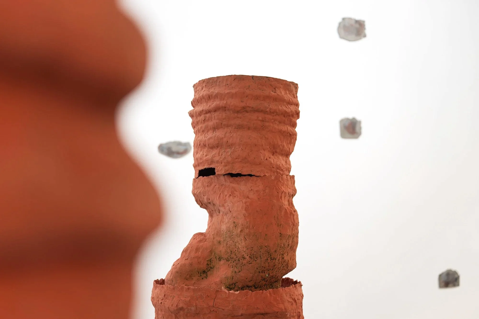 April 2025 / Ahuva Zaslavsky