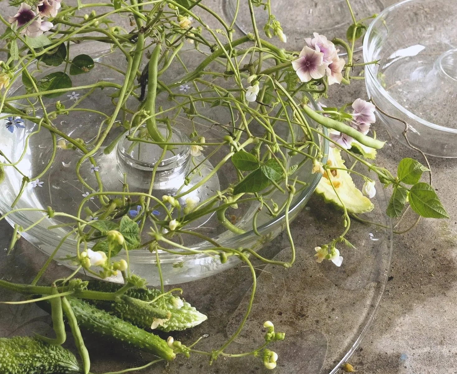 November - December 2025 / Group Exhibition