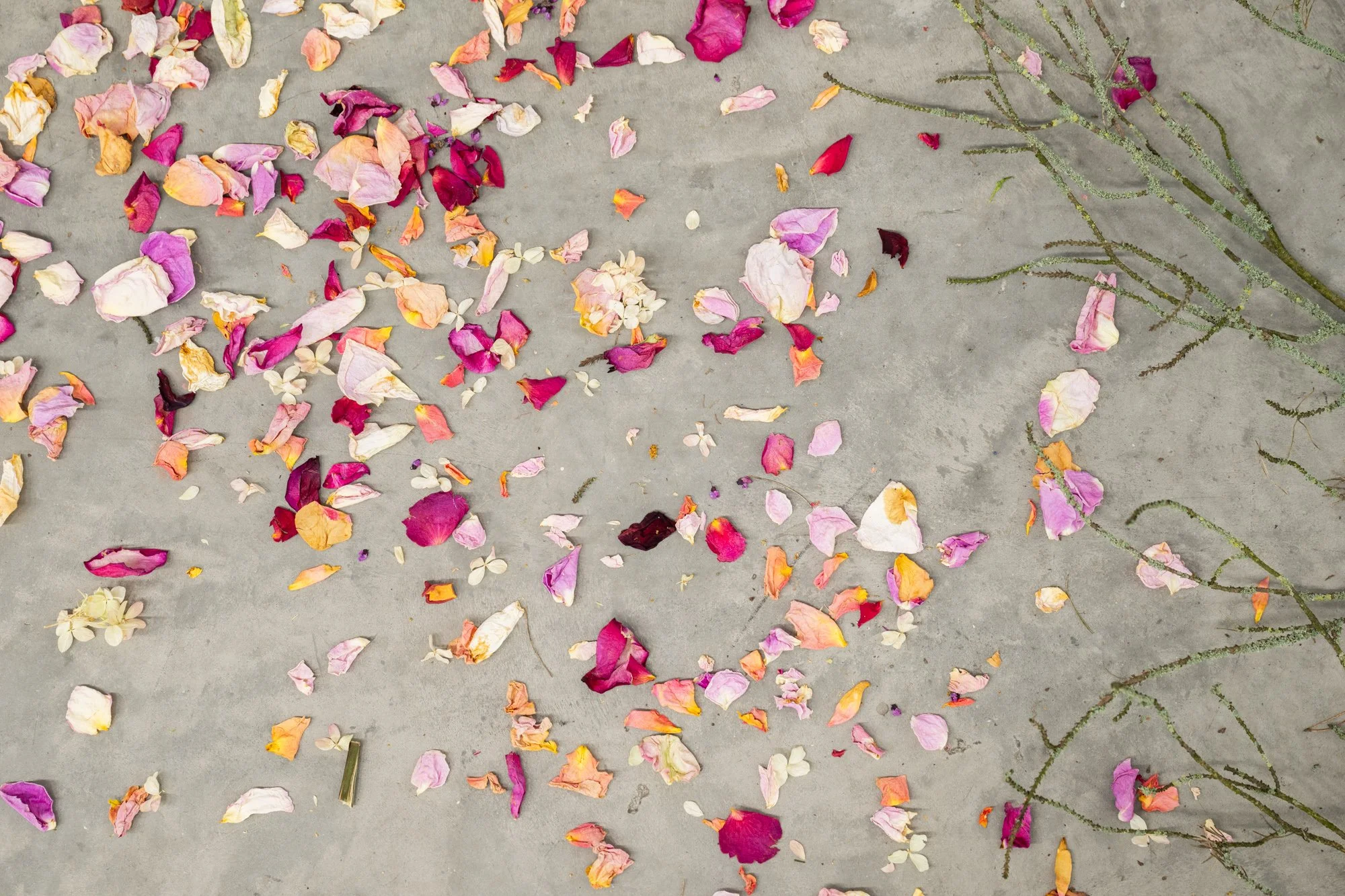 2025-05 - Erin Bodfish 21.jpg