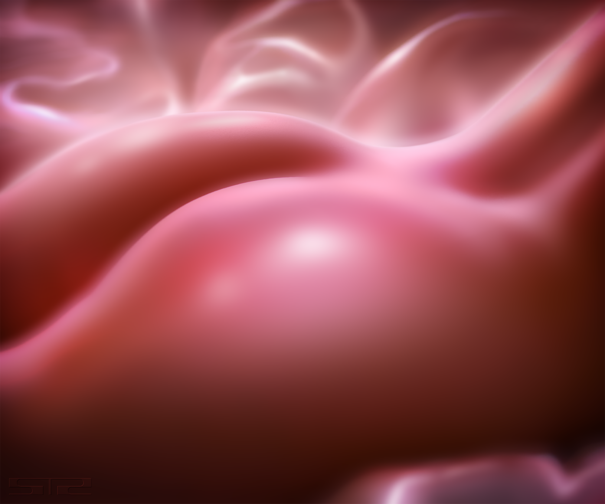 Do you want to enter me?, 2024 / photographic + digital media on hot press paper / 40" x 33.33"