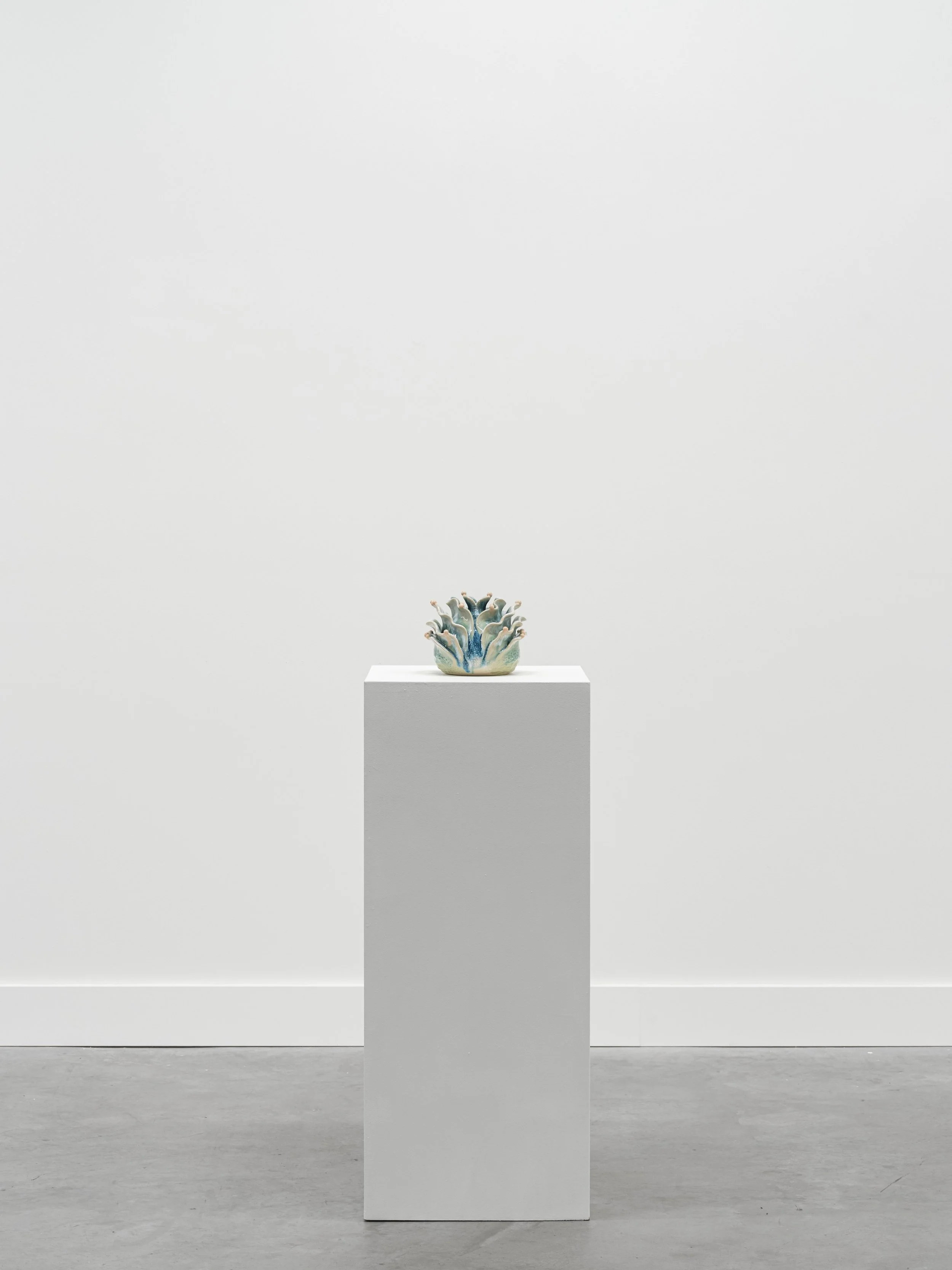 Coral Bloom Vessel No. 3, 2026