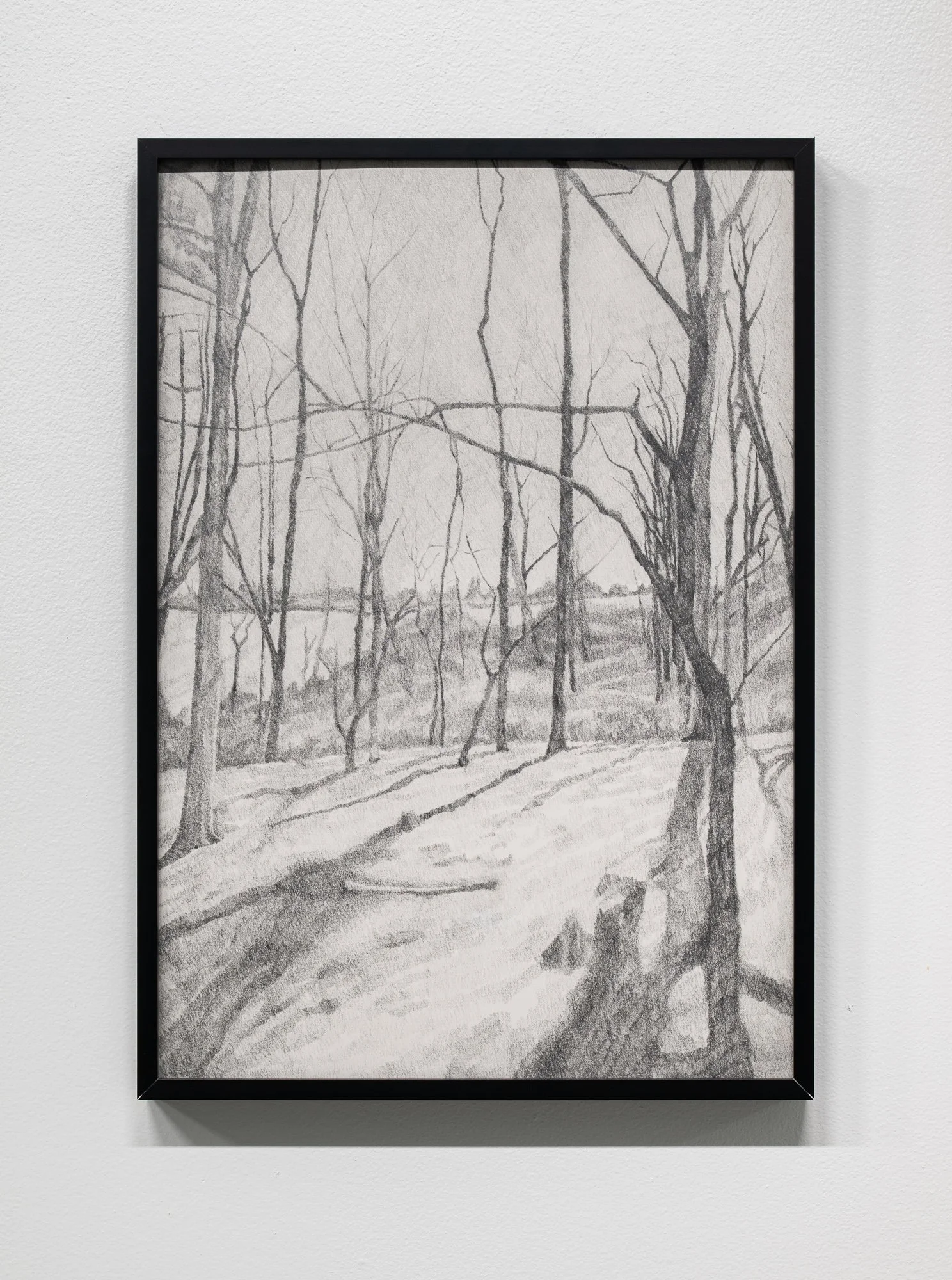 2025-08 - Grizzly Grizzly 4.jpg