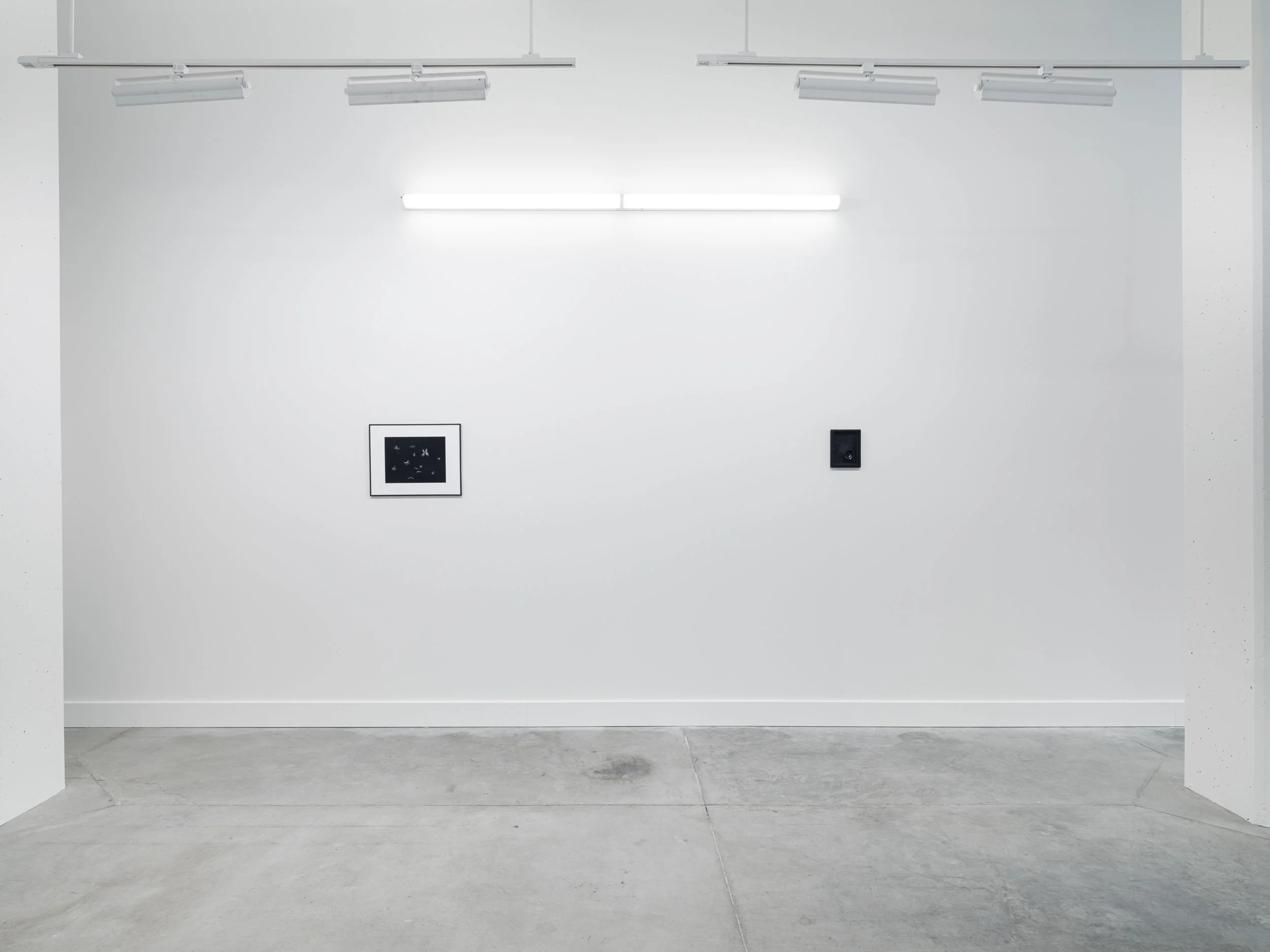 2026-02 - Whispering Flight 11.jpg