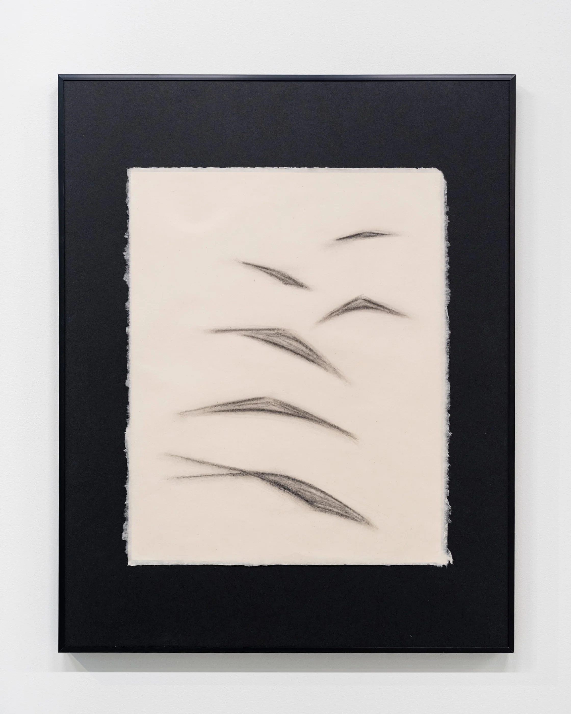 Ruth Meijer / axial nexus, 2026 / charcoal on paper / 30" x 24"