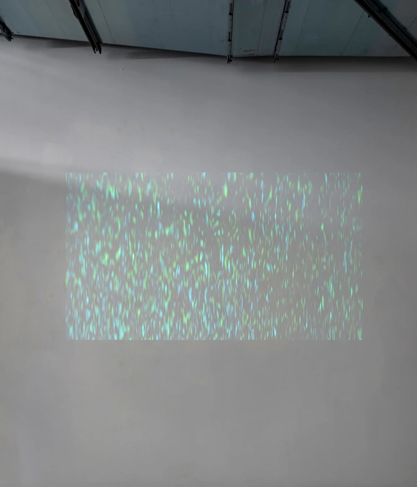 2025-08 - Grizzly Grizzly 12.jpg