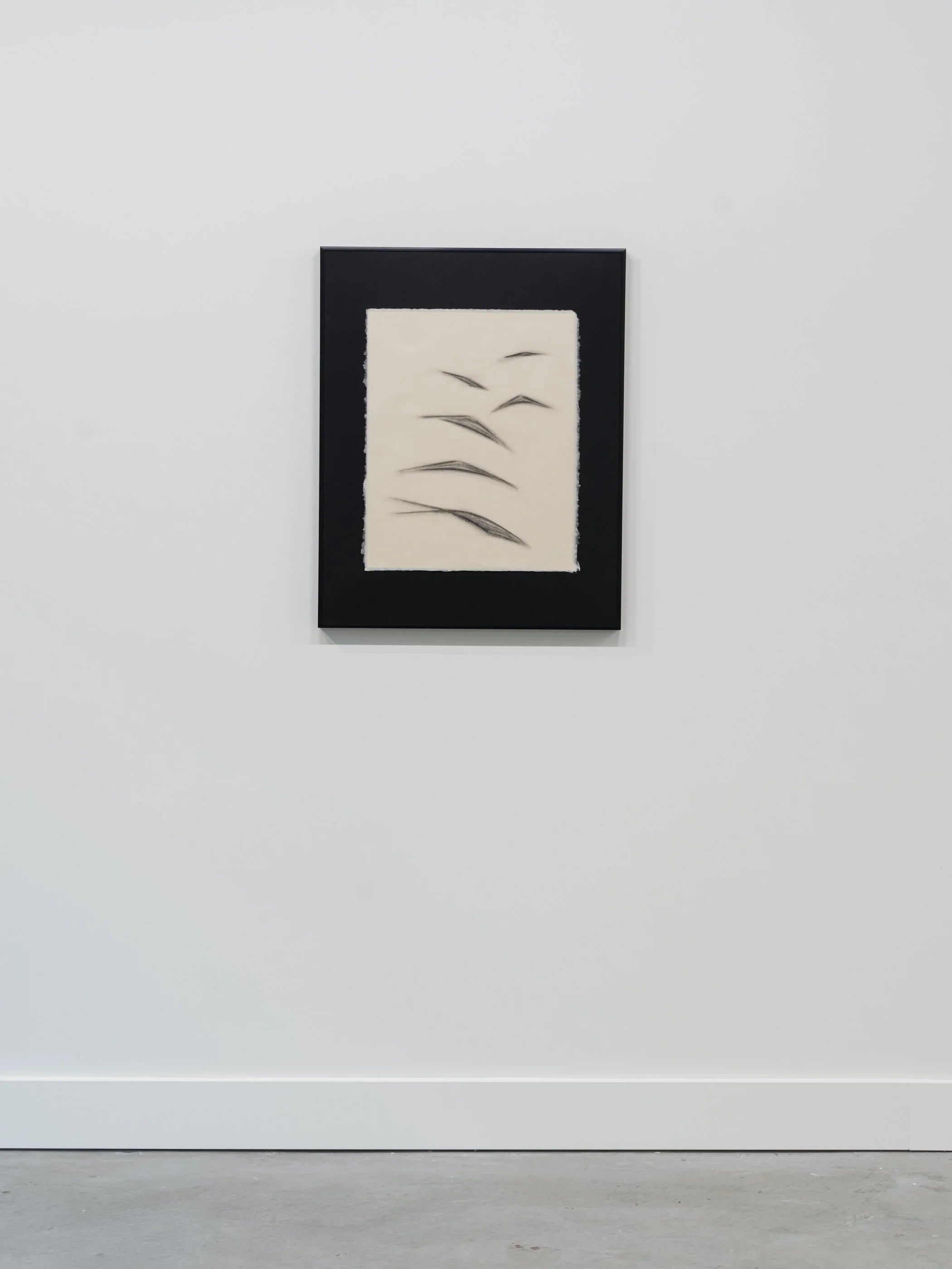 2026-02 - Whispering Flight 3B.jpg