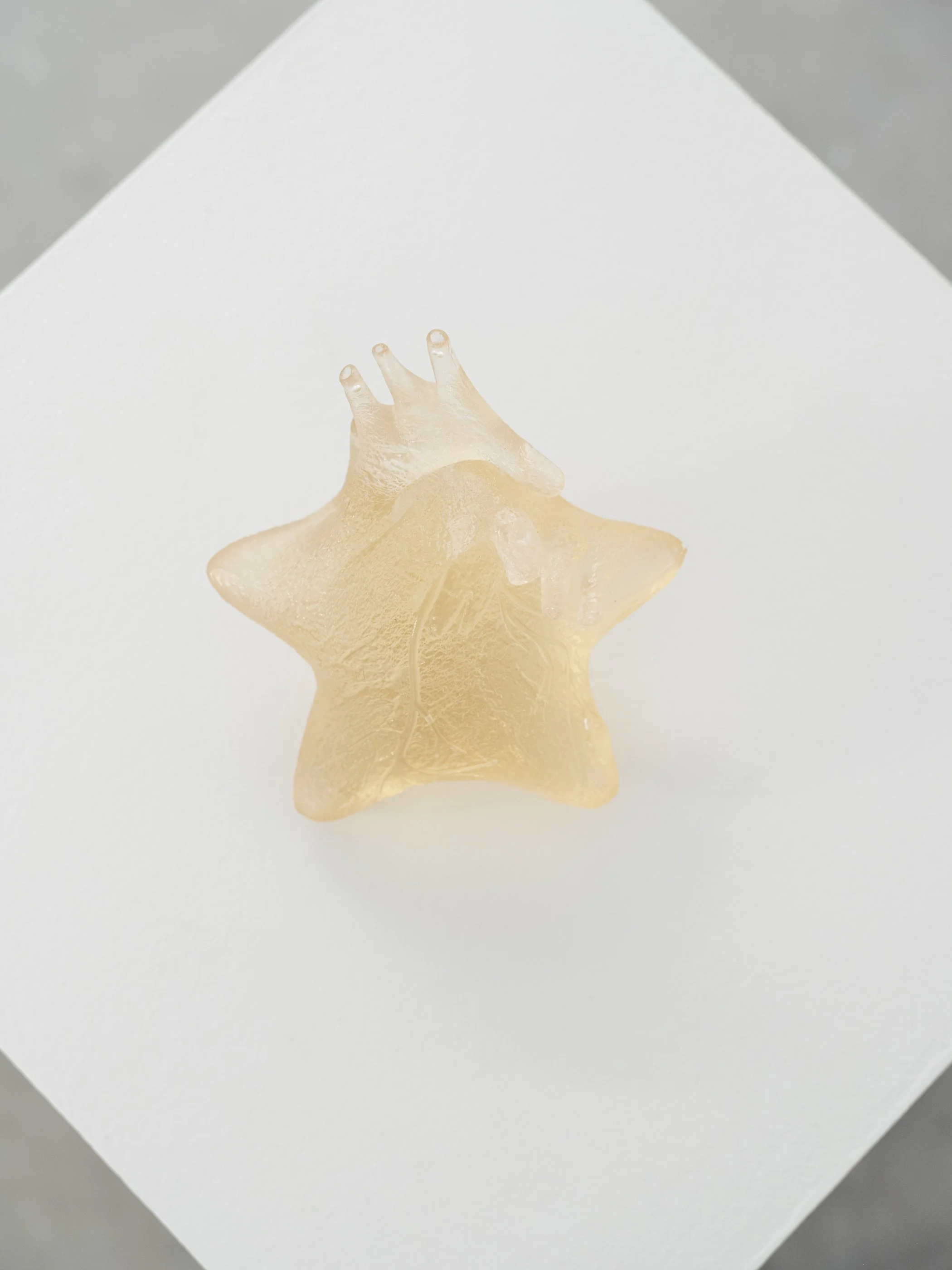 2026-02 - Whispering Flight 13C.jpg