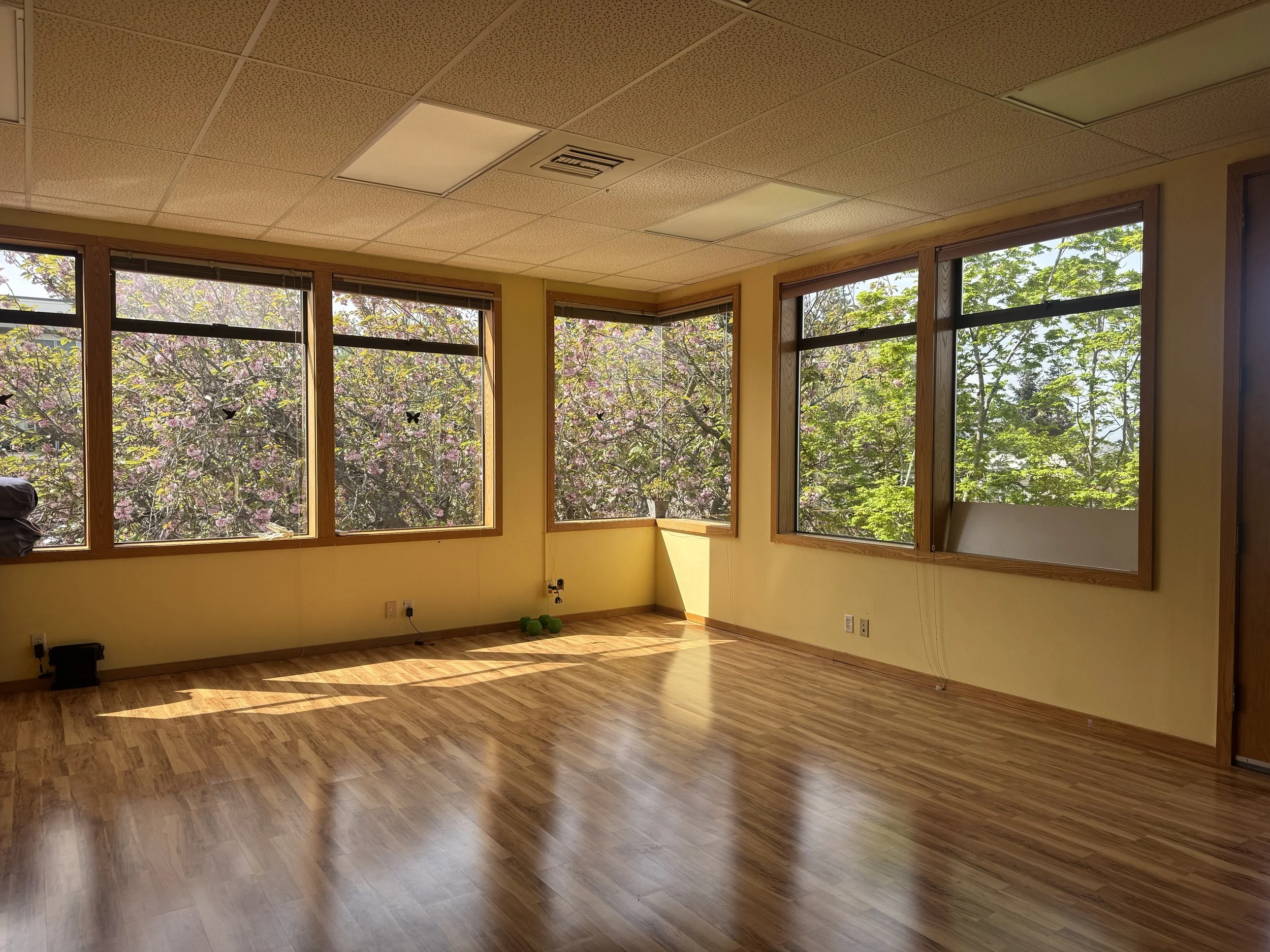 Coming soon to Whidbey Island Yoga