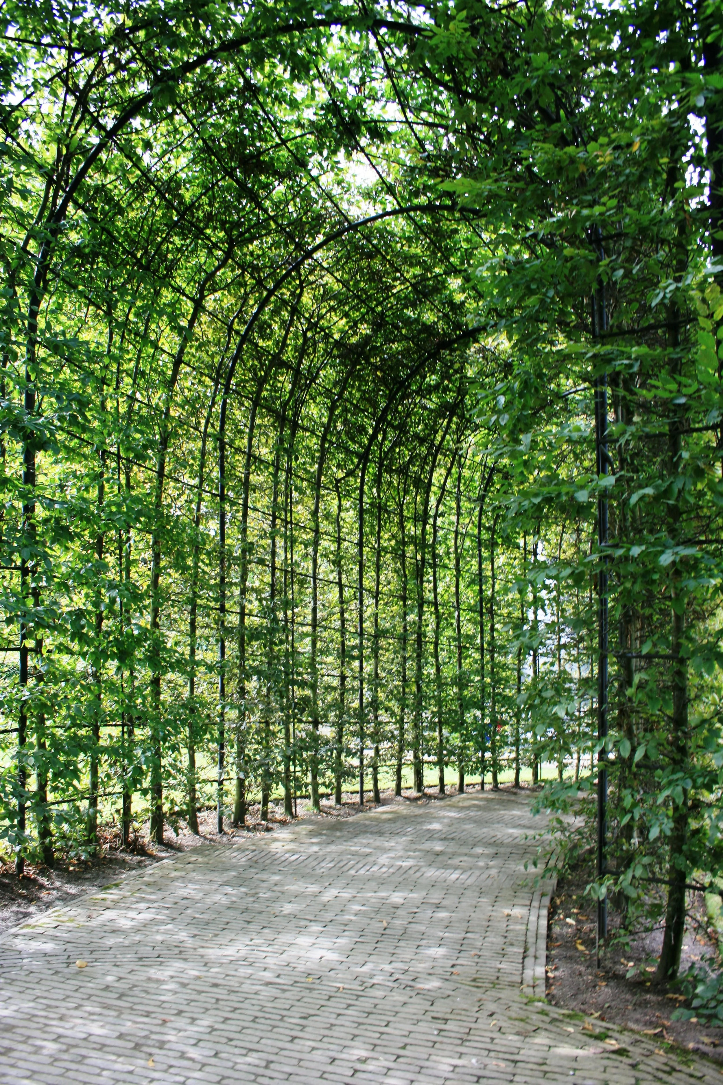 Alnwick Gardens, Northumberland, UK