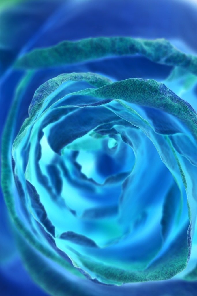 Wormhole- web.jpg