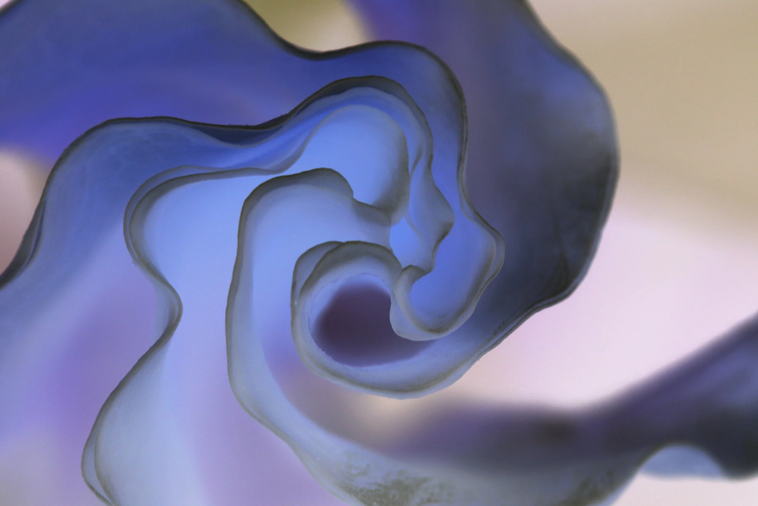 Swirl Series 4
