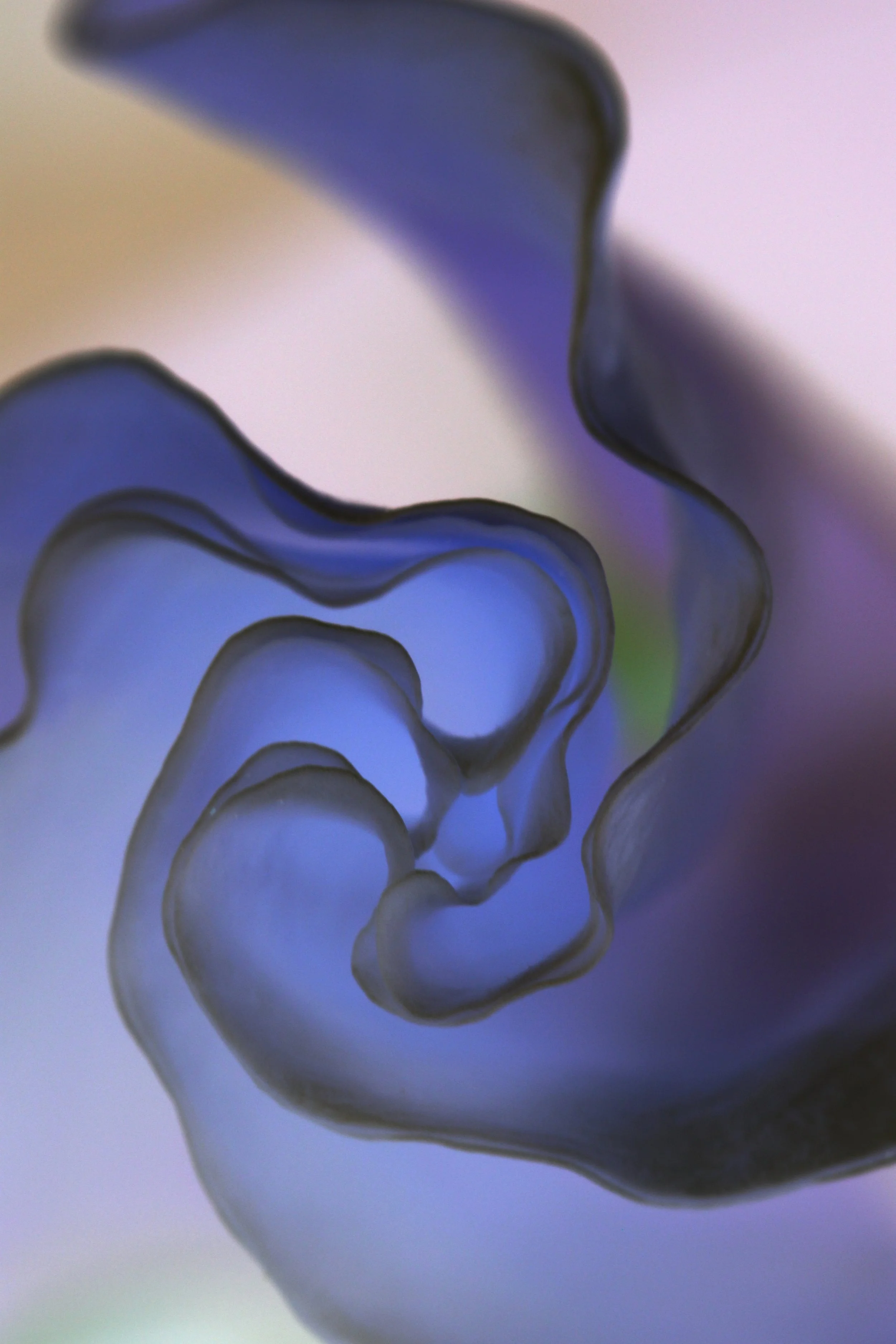 Swirl Series 2