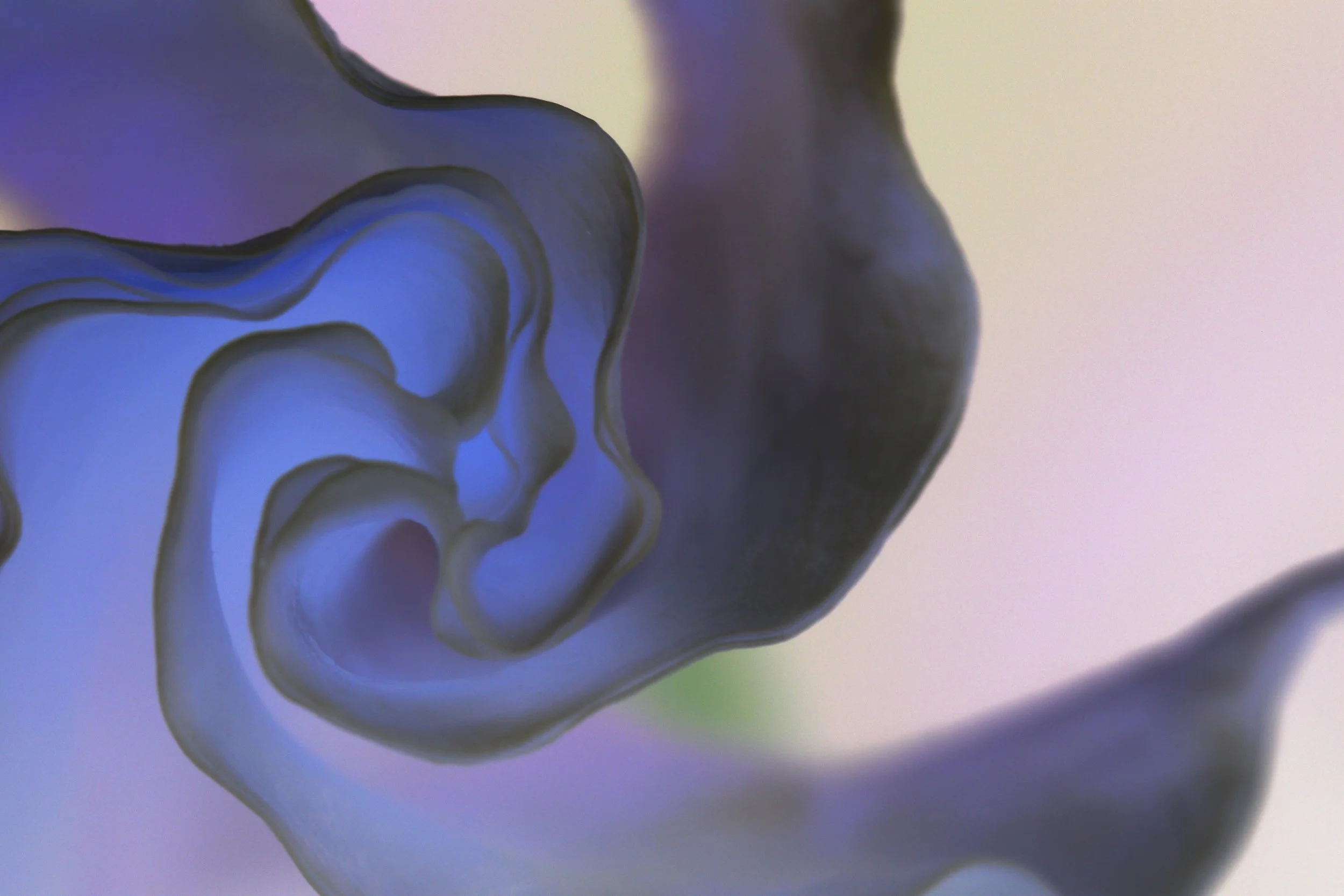 Swirl Series 1