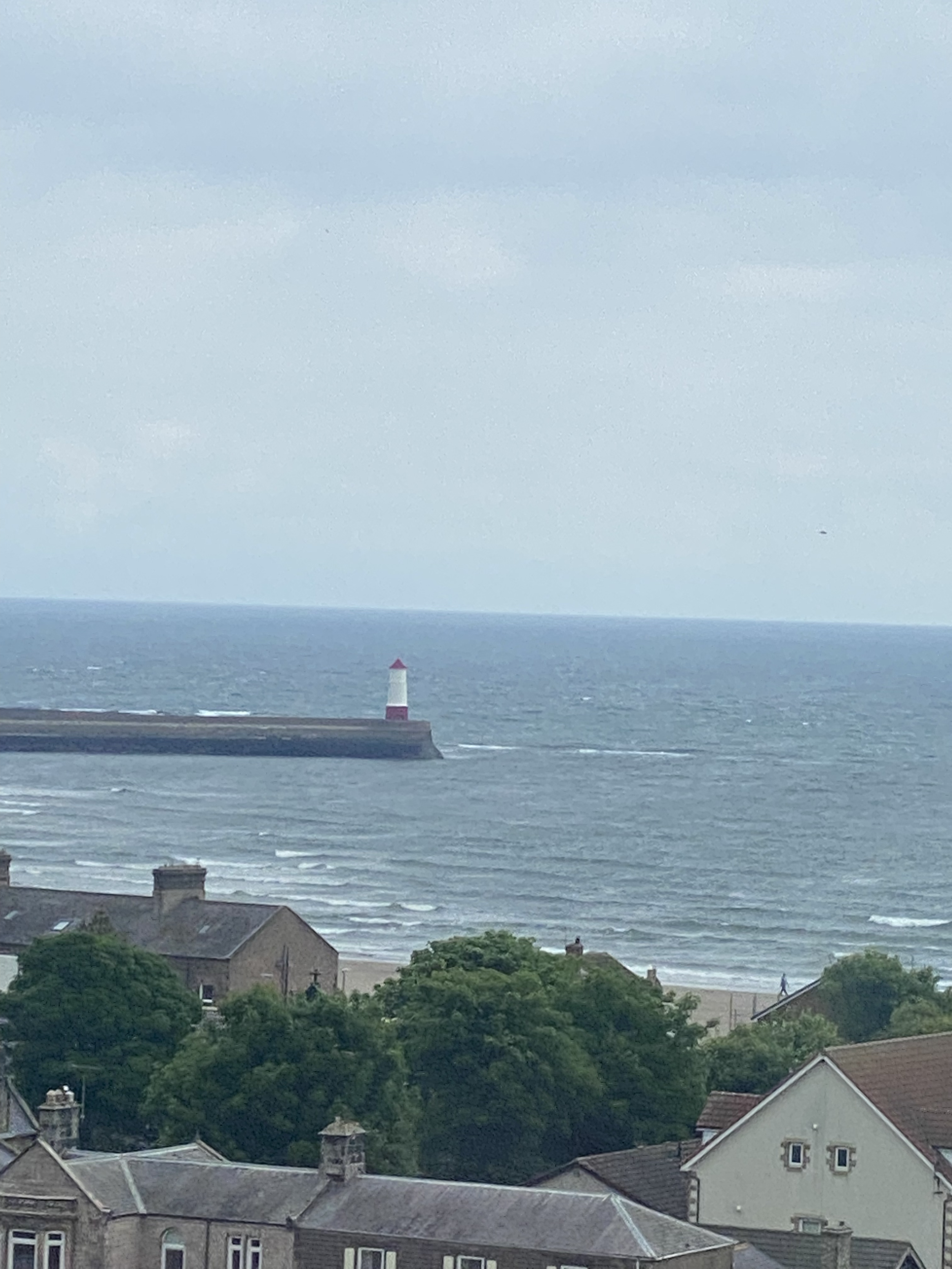 View of the sea with a lighthouse on a pier in the distance, houses and trees in the foreground, cloudy sky.