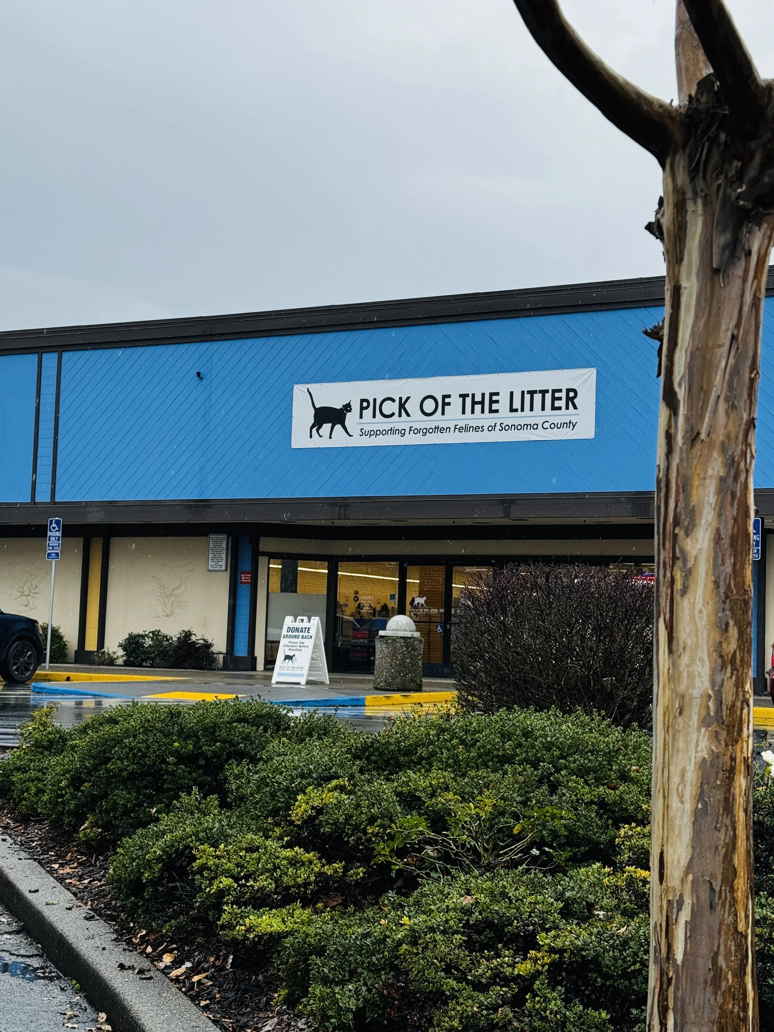 Review: Pick of the Litter Thrift Store