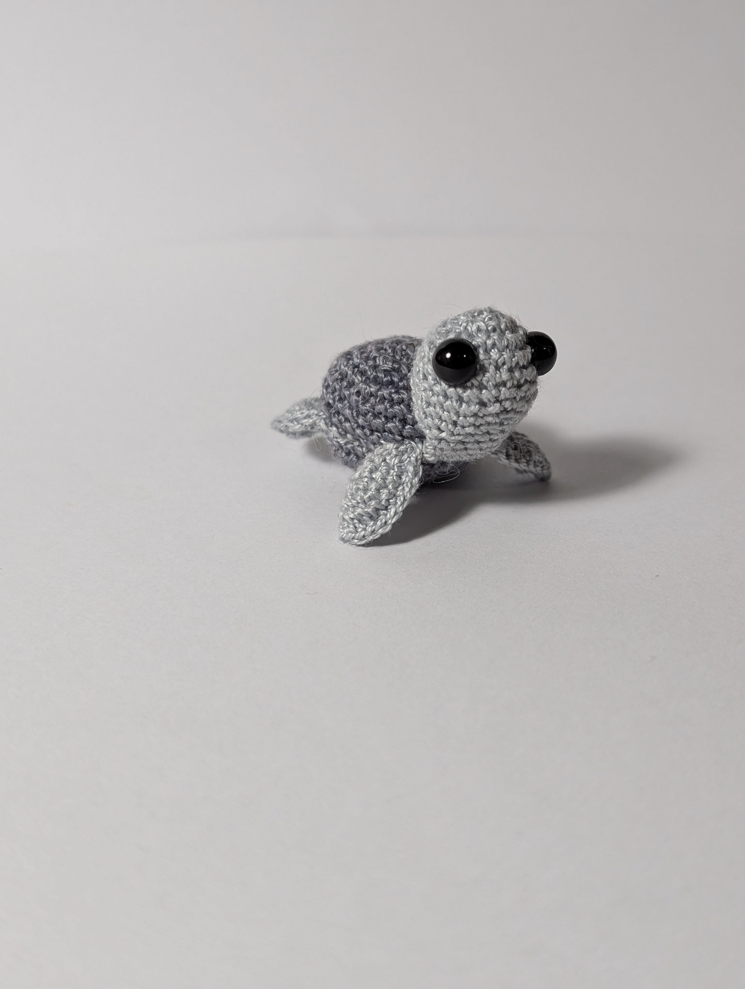 Tiny Turtle - $5