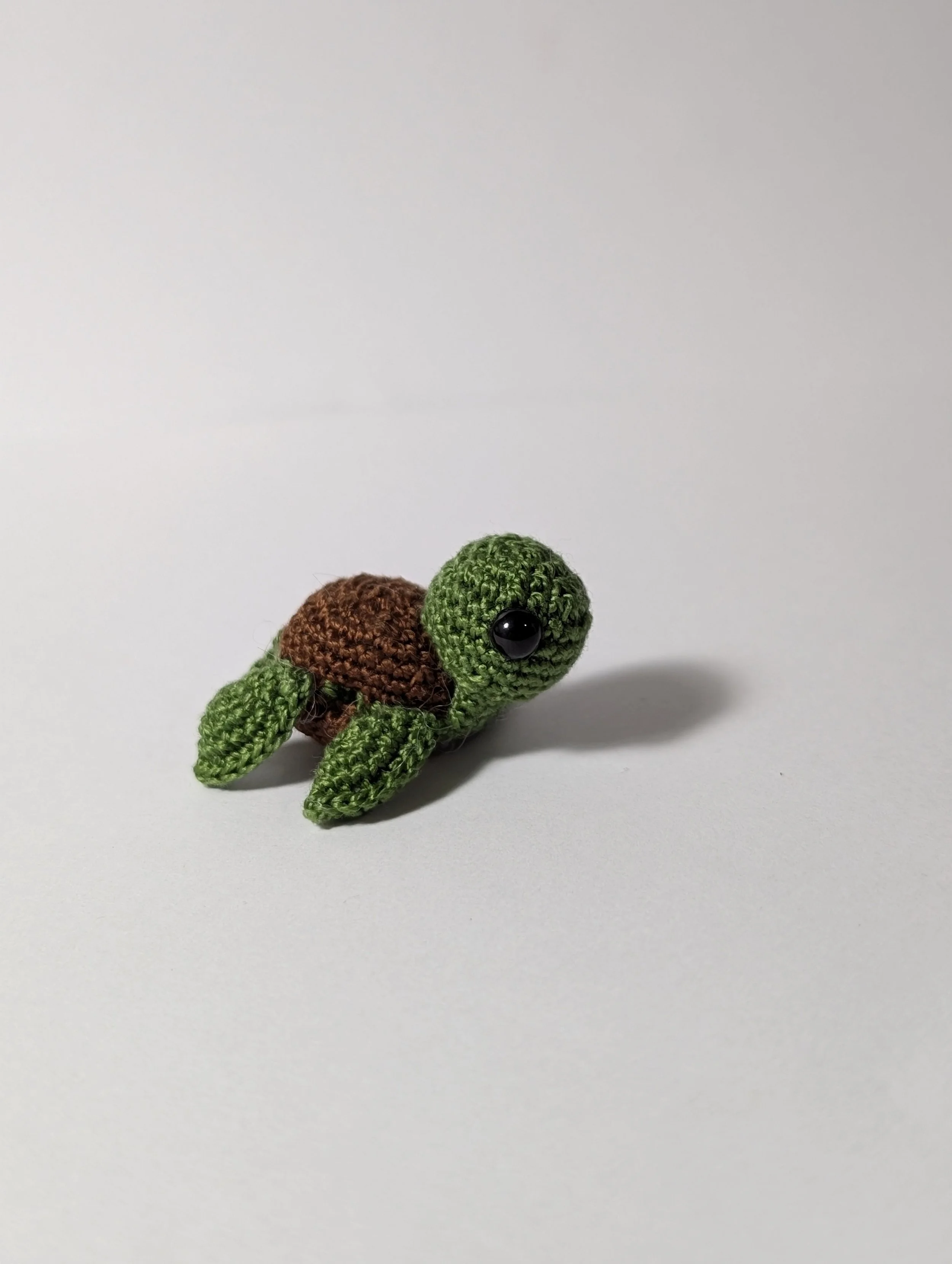 Tiny Turtle - $5