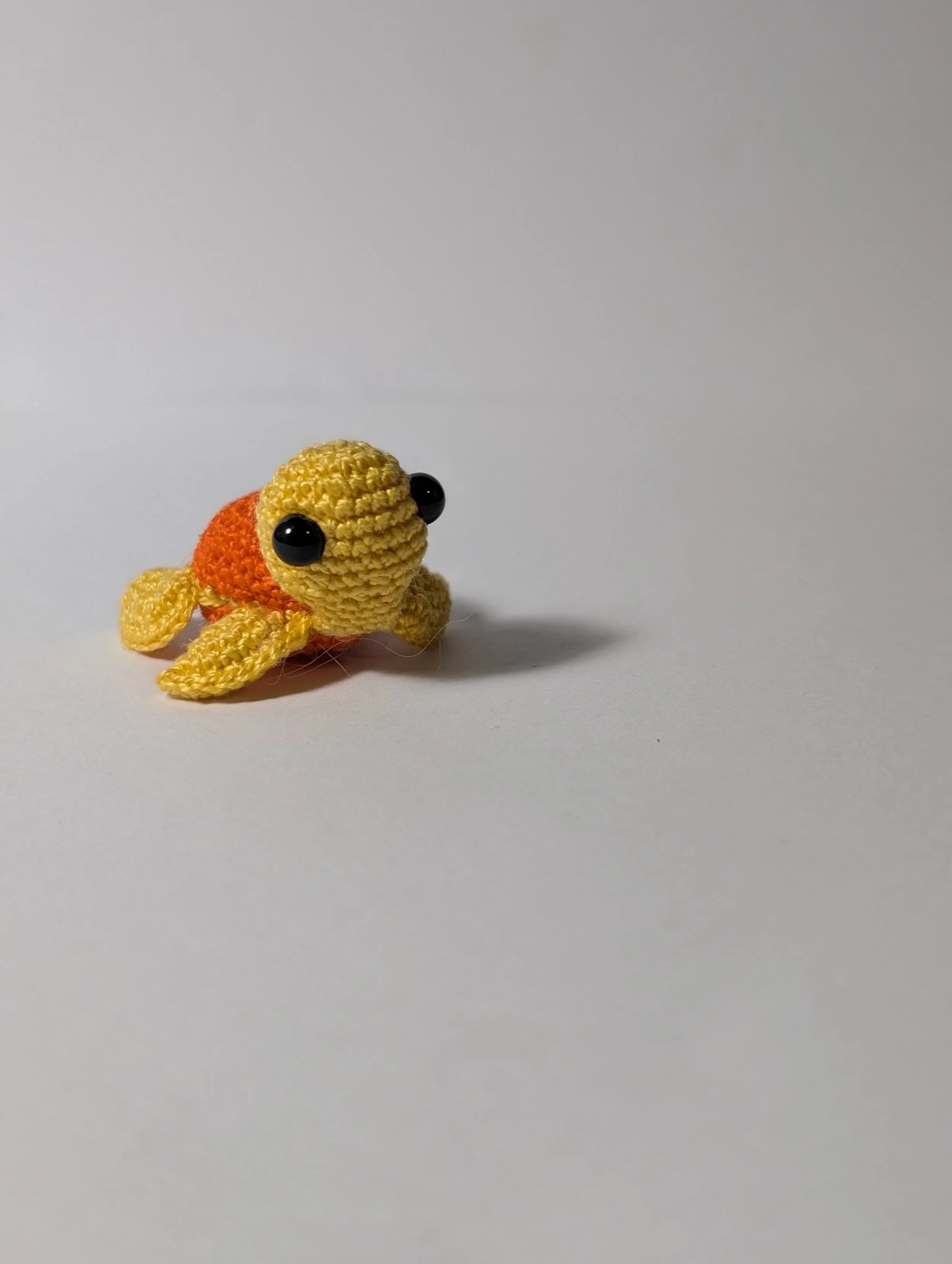 Tiny Turtle - $5