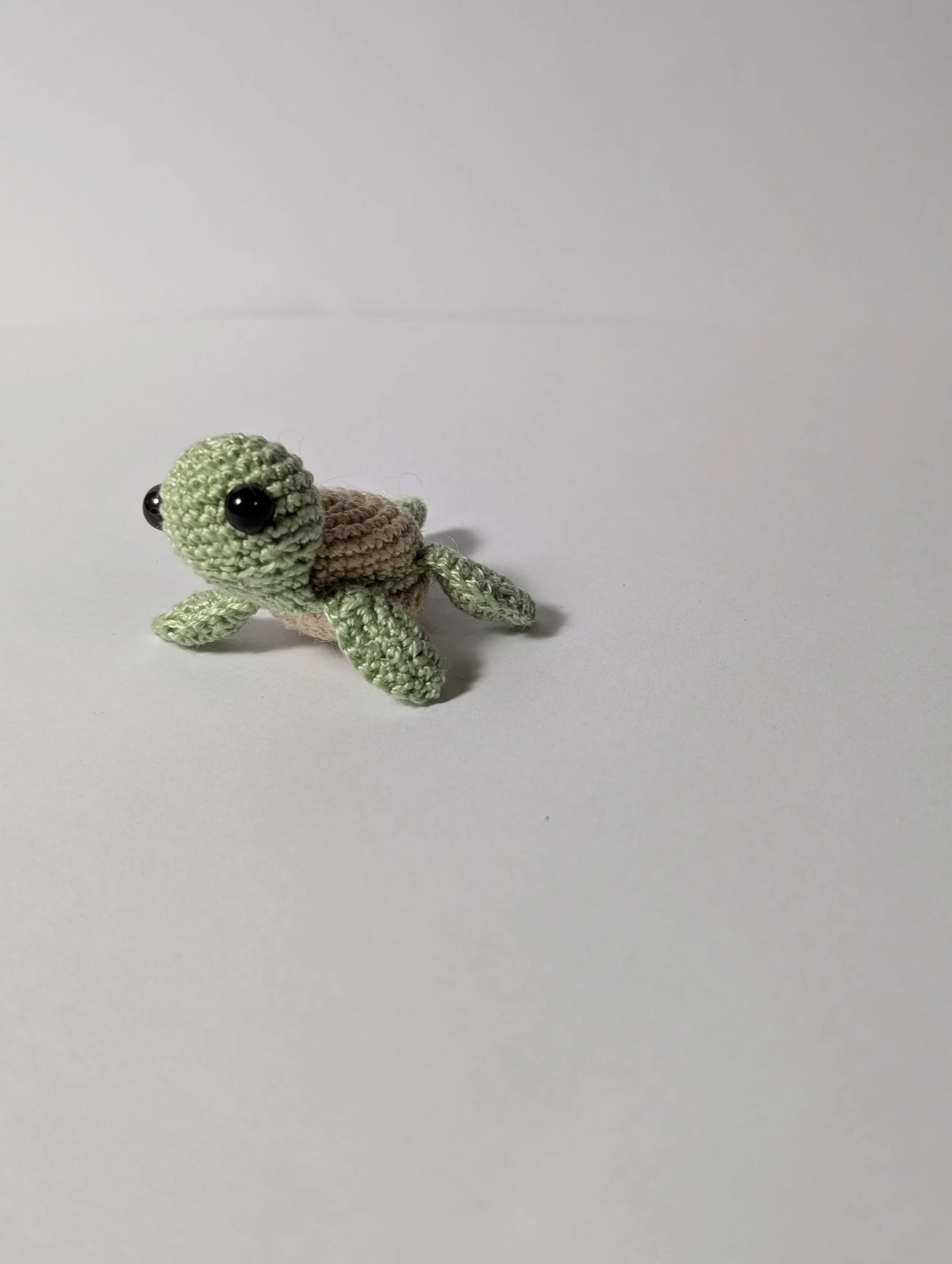 Tiny Turtle - $5