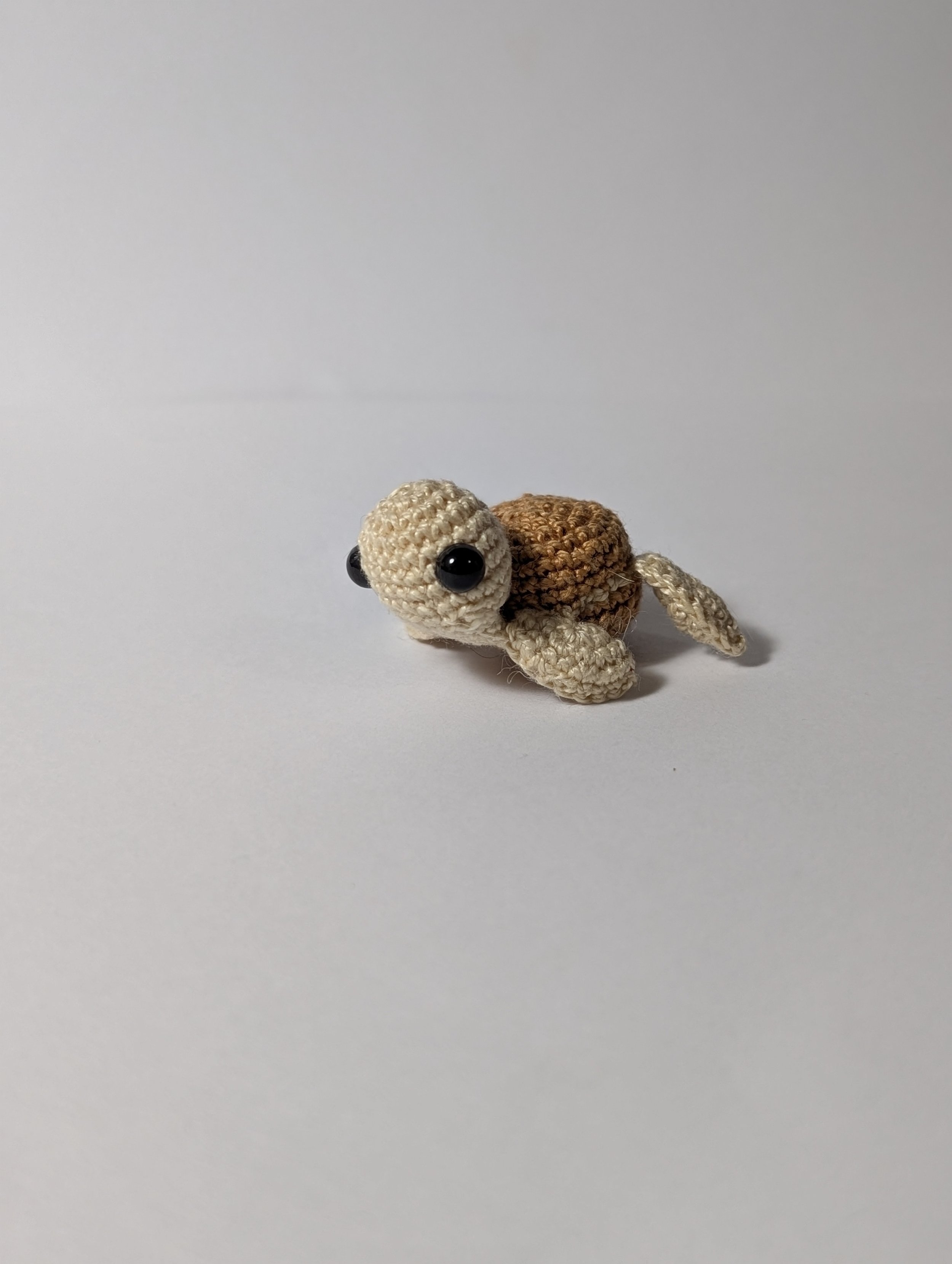 Tiny Turtle - $5