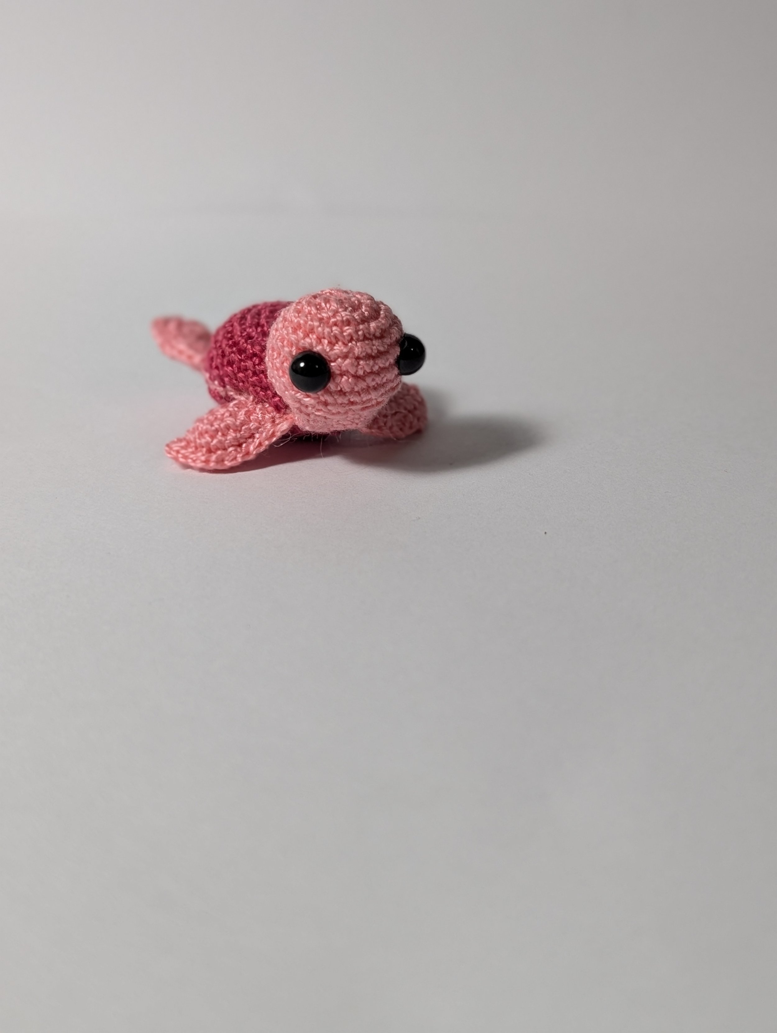 Tiny Turtle - $5