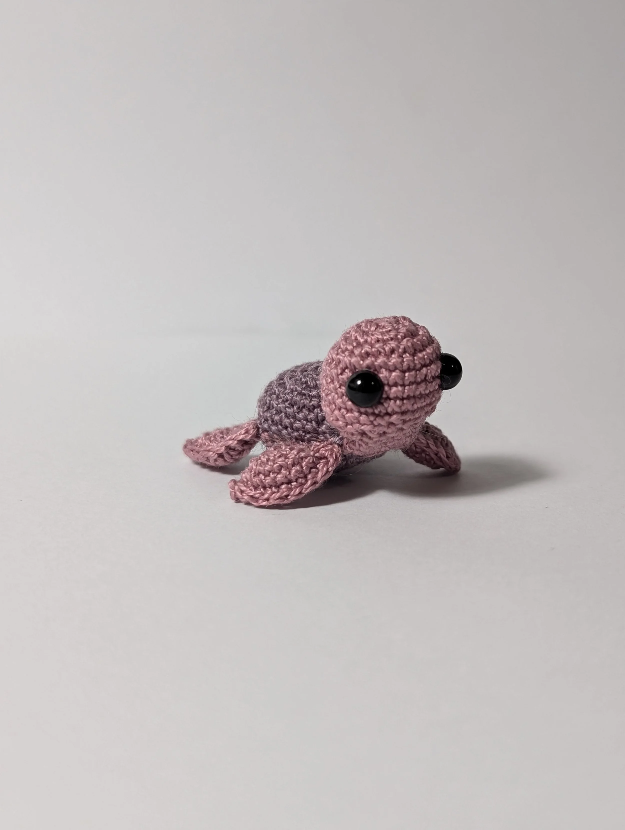 Tiny Turtle - $5