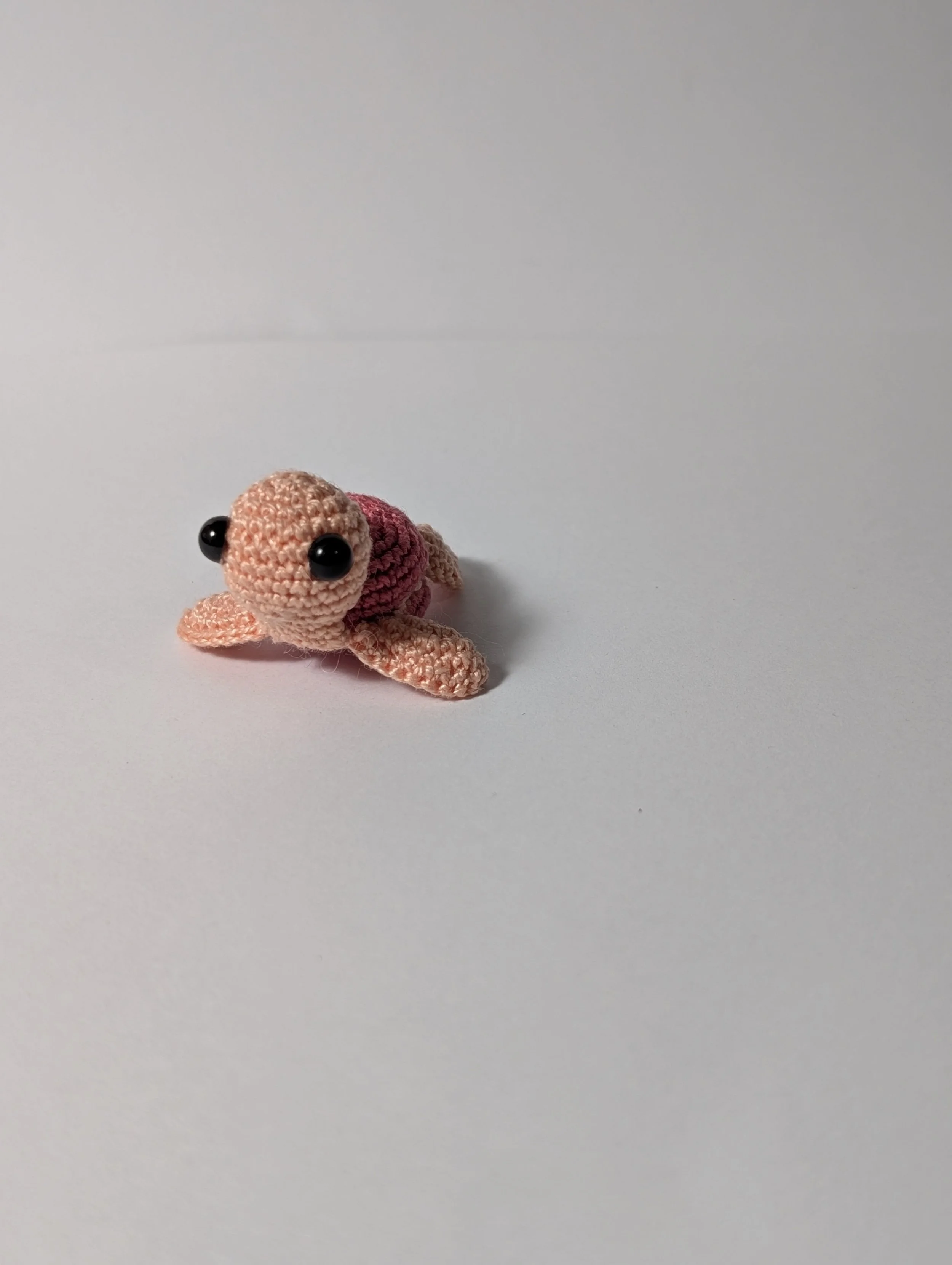 Tiny Turtle - $5
