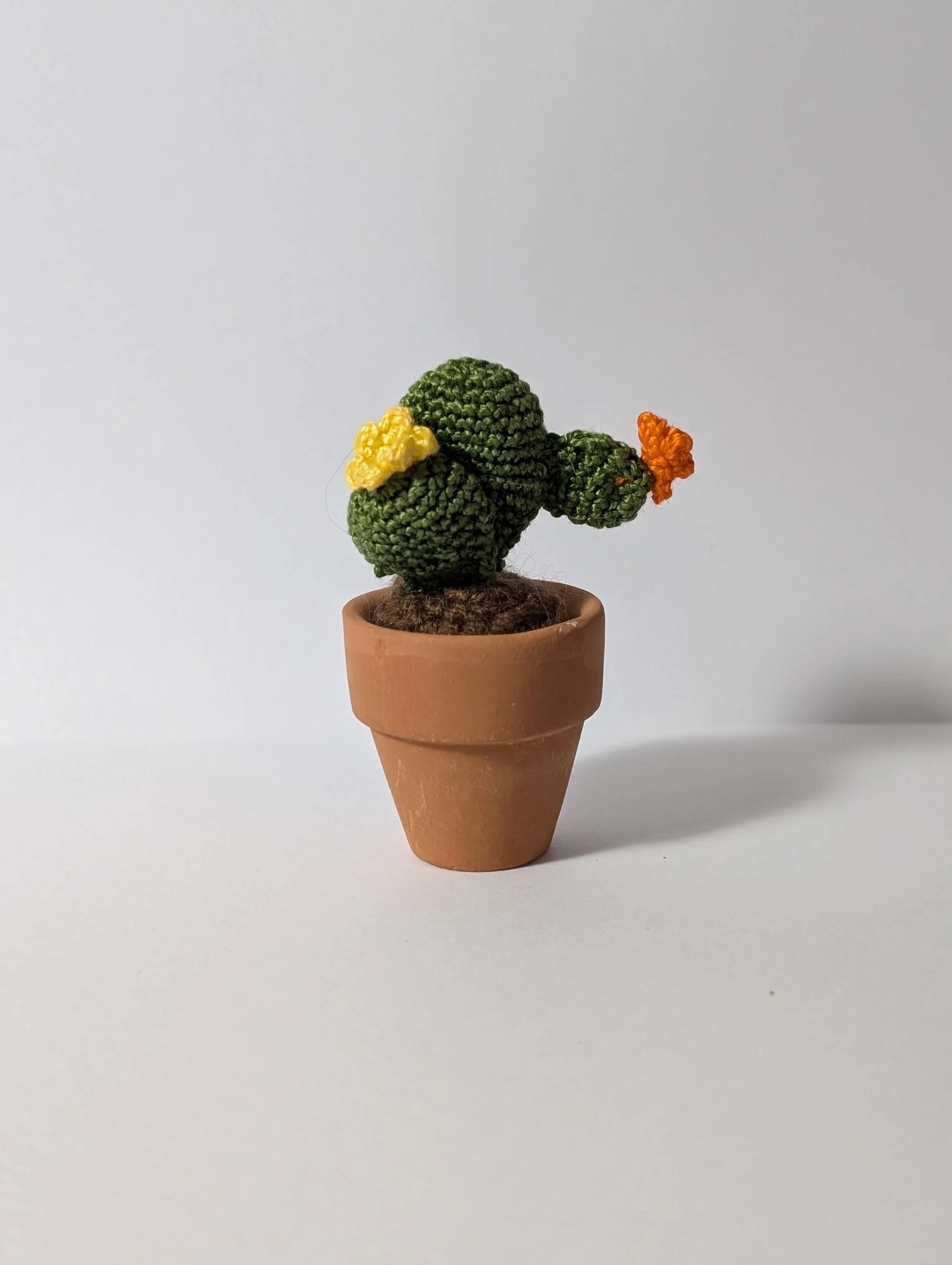 Tiny Cactus - $15