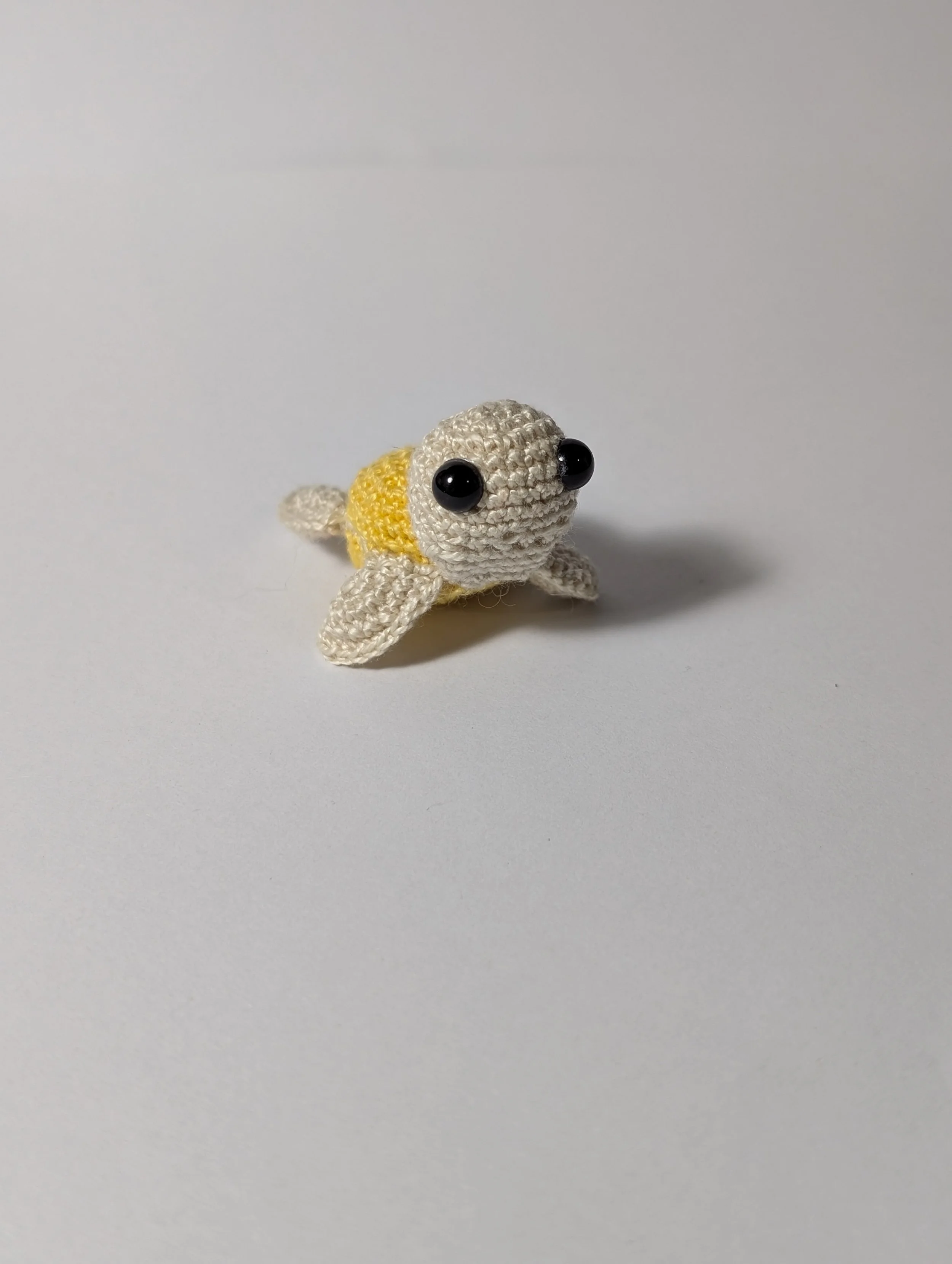 Tiny Turtle - $5