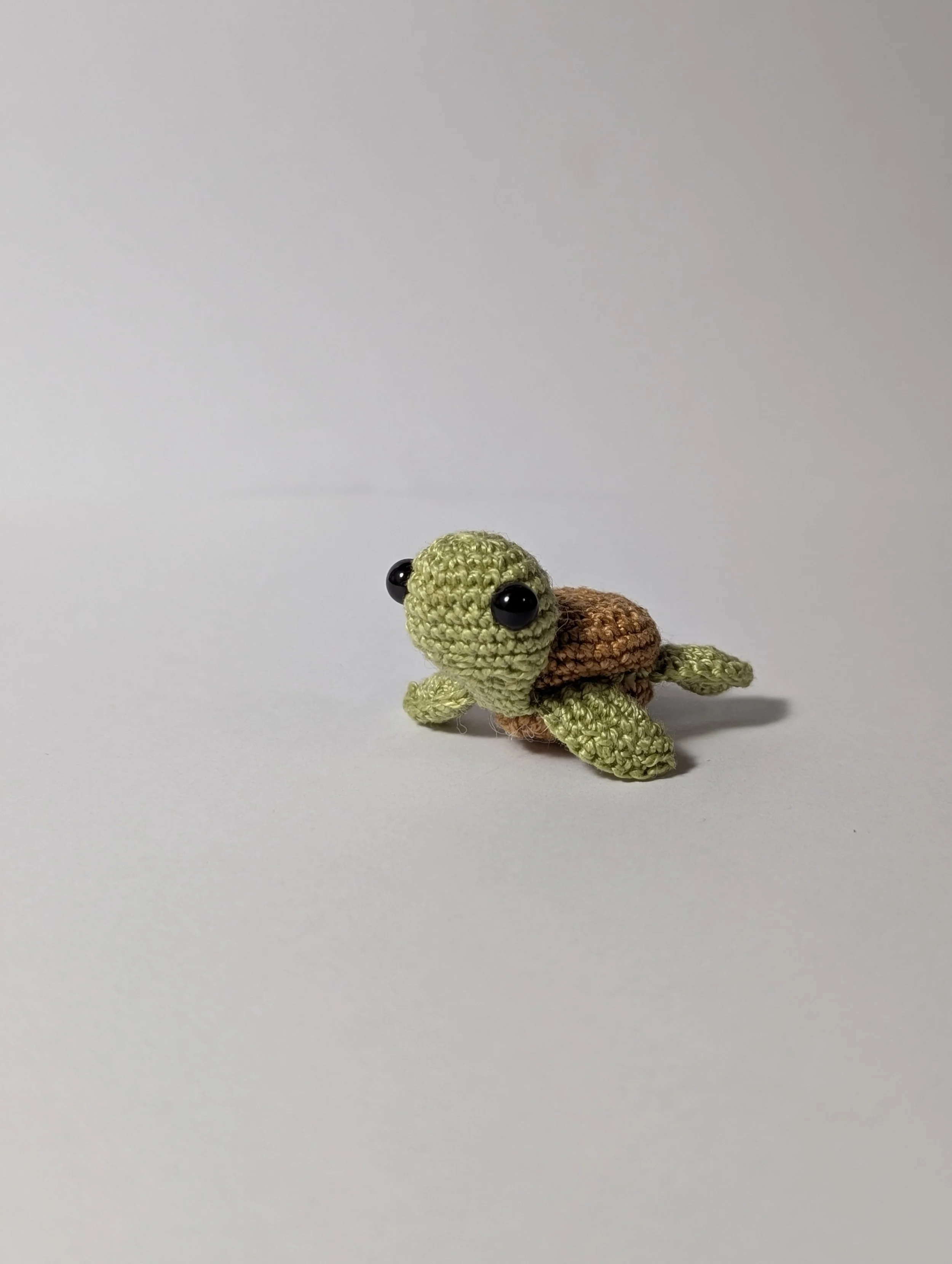 Tiny Turtle - $5