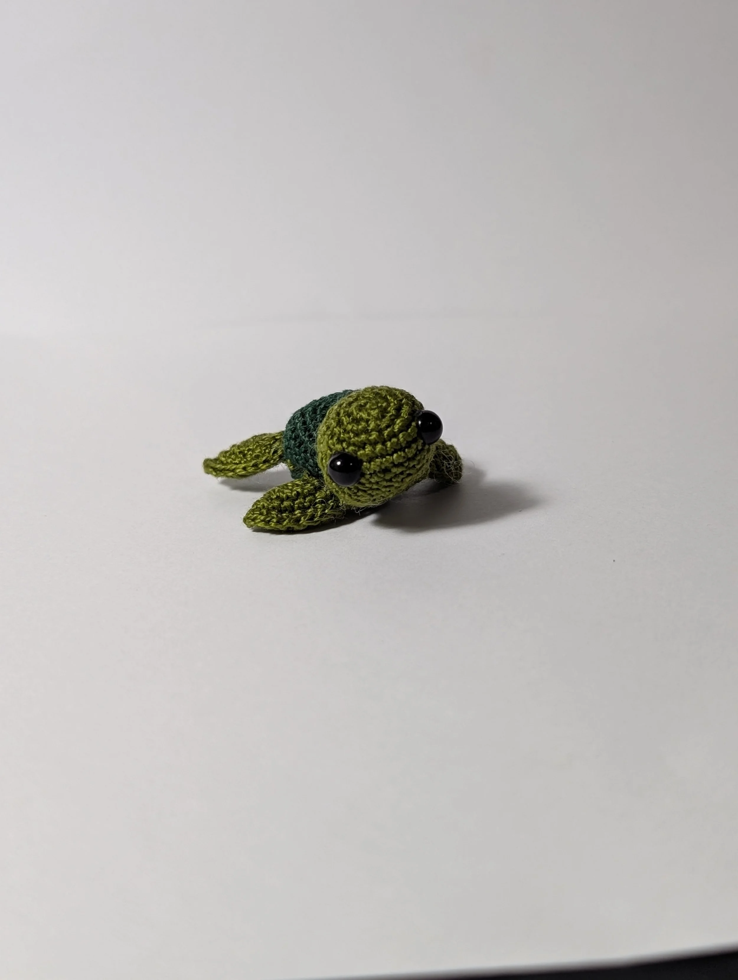 Tiny Turtle - $5