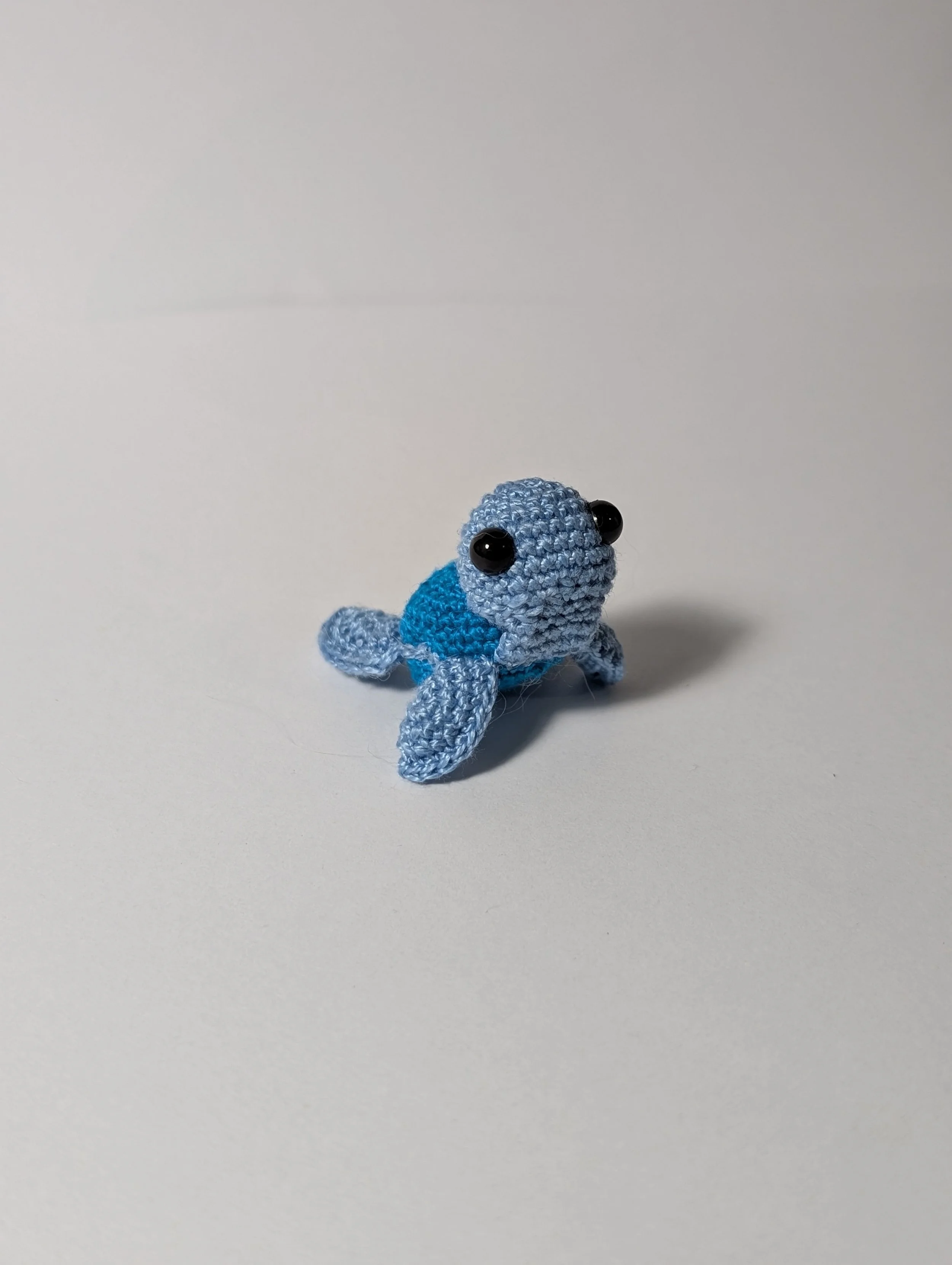 Tiny Turtle - $5