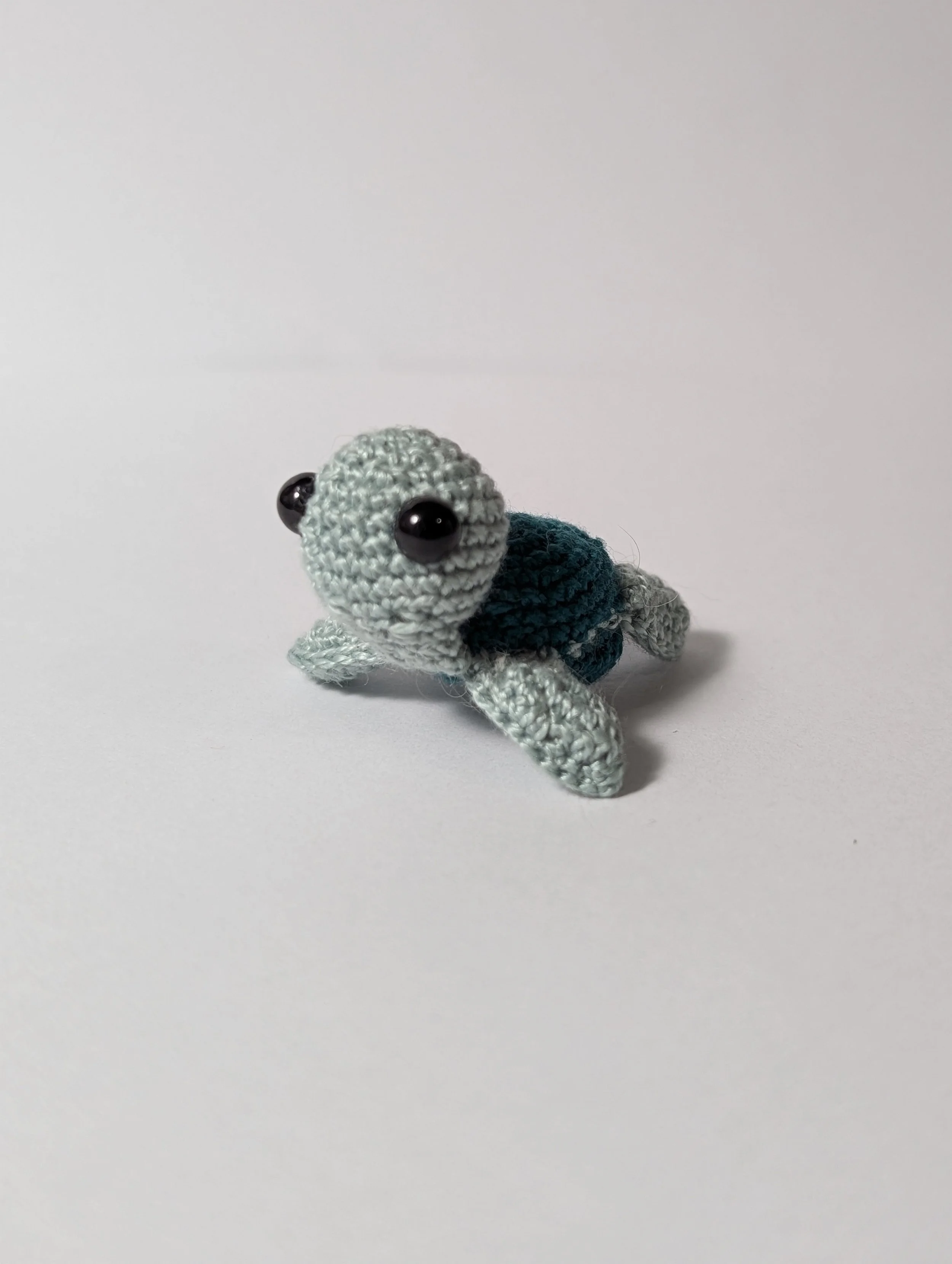 Tiny Turtle - $5