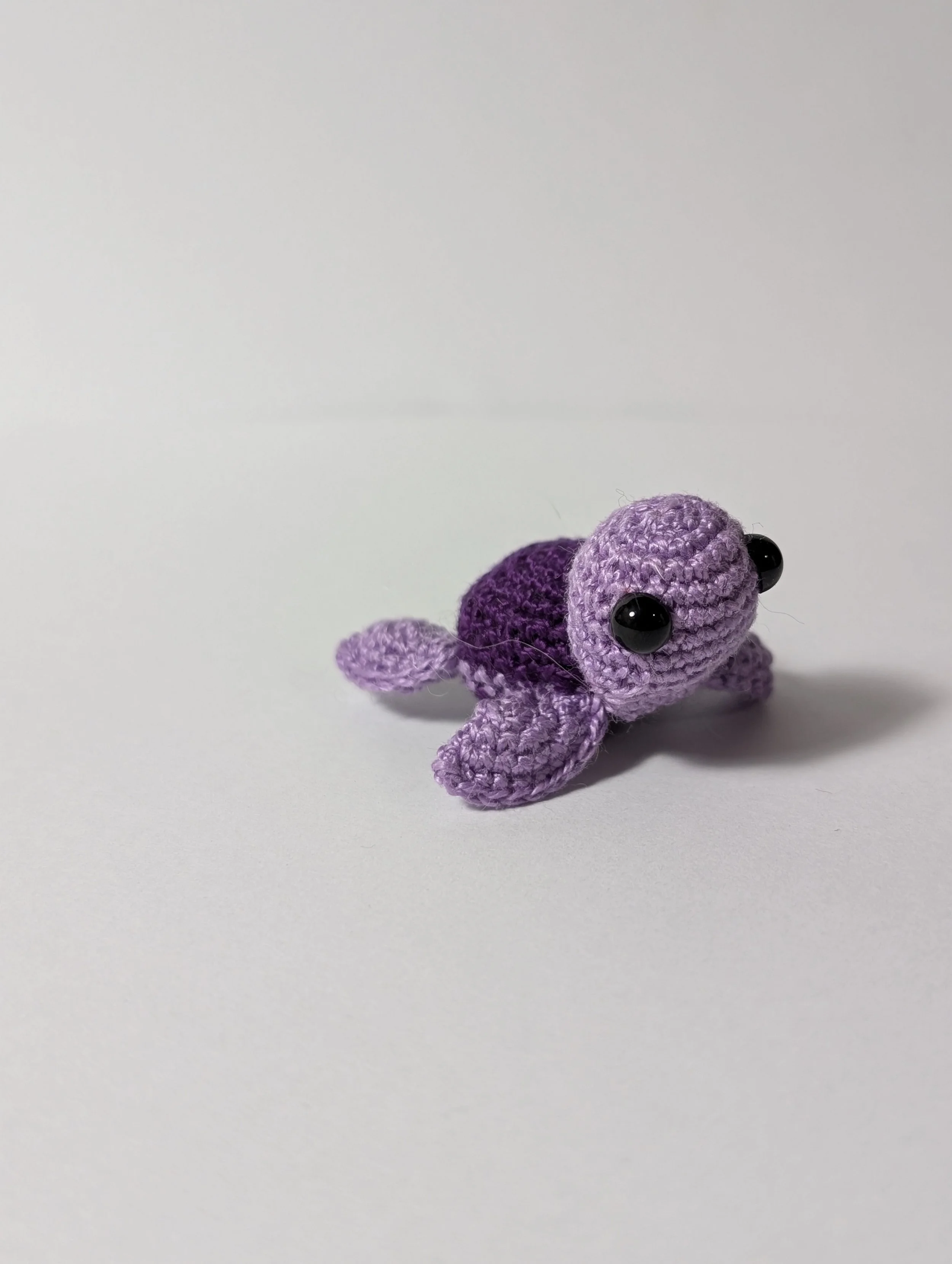 Tiny Turtle - $5