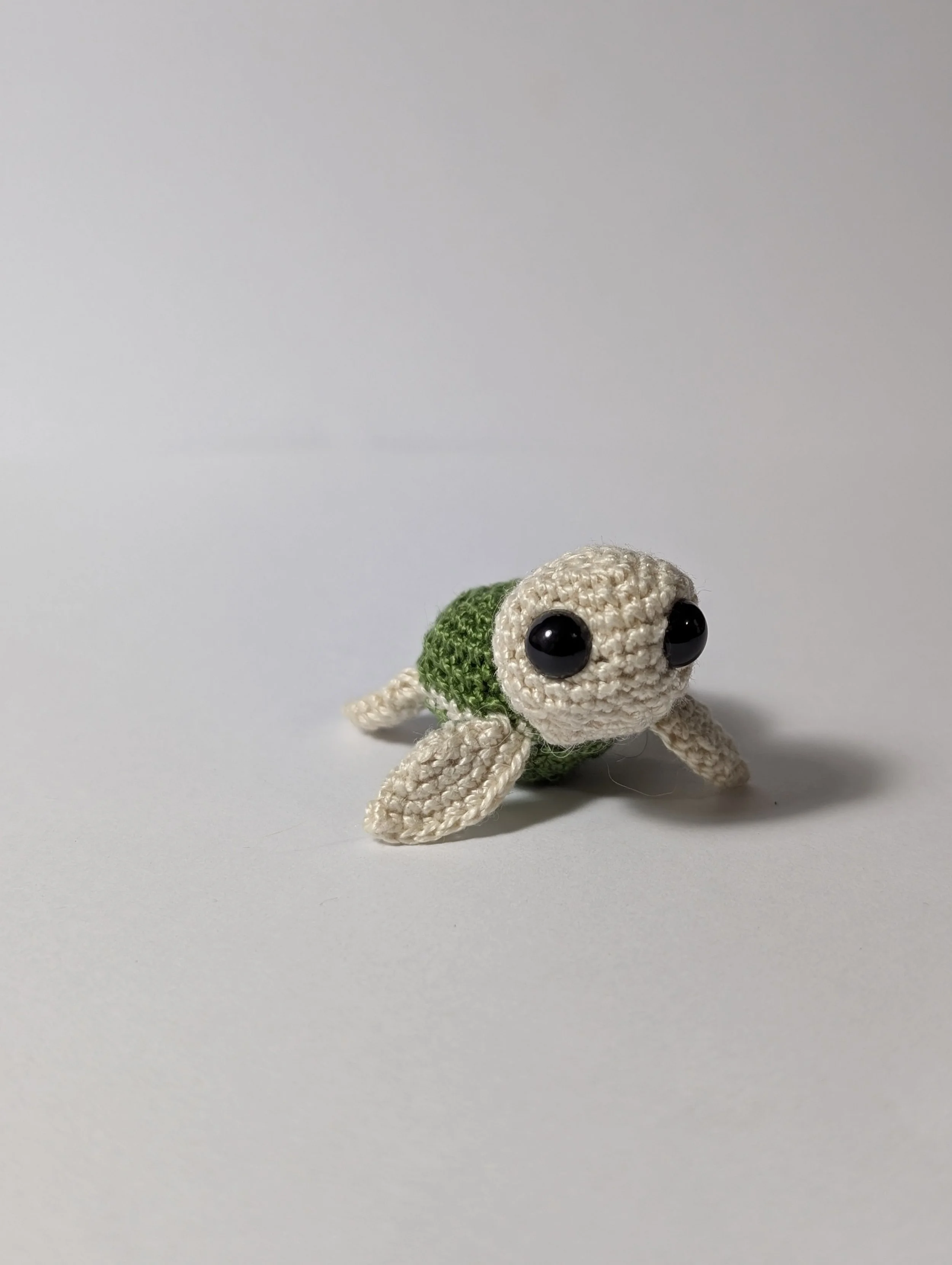 Tiny Turtle - $5