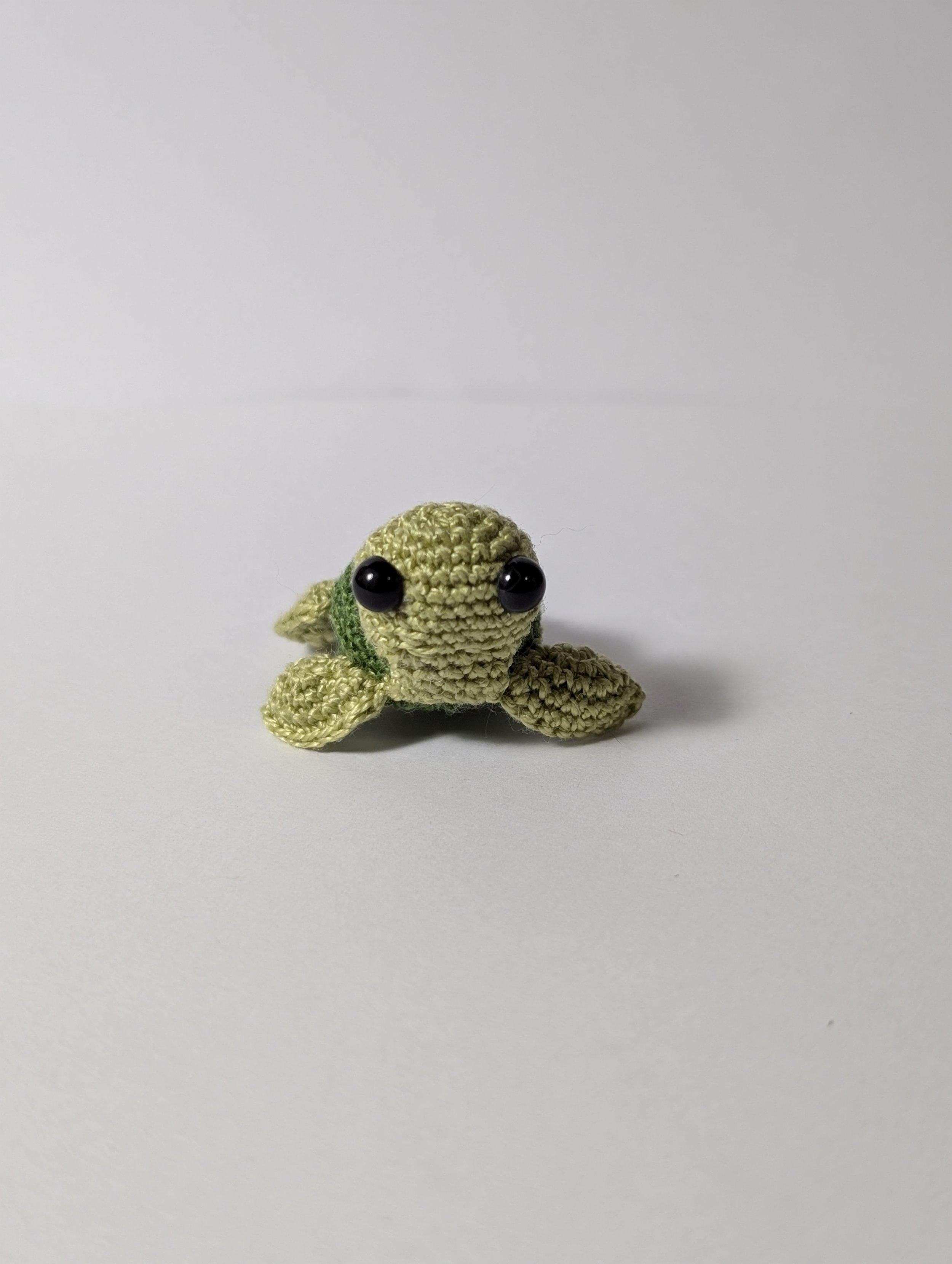 Tiny Turtle - $5