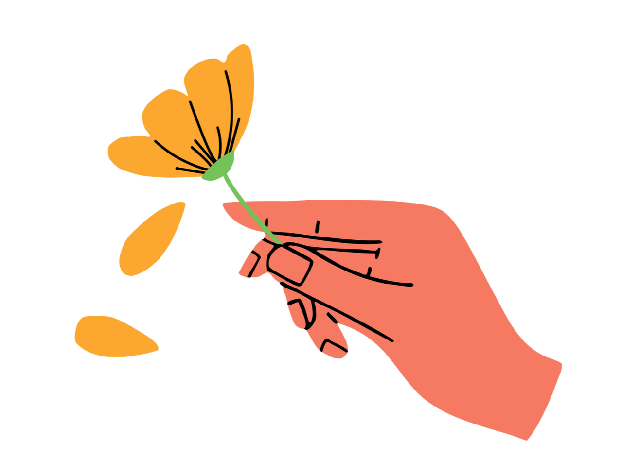 The Studio Hand