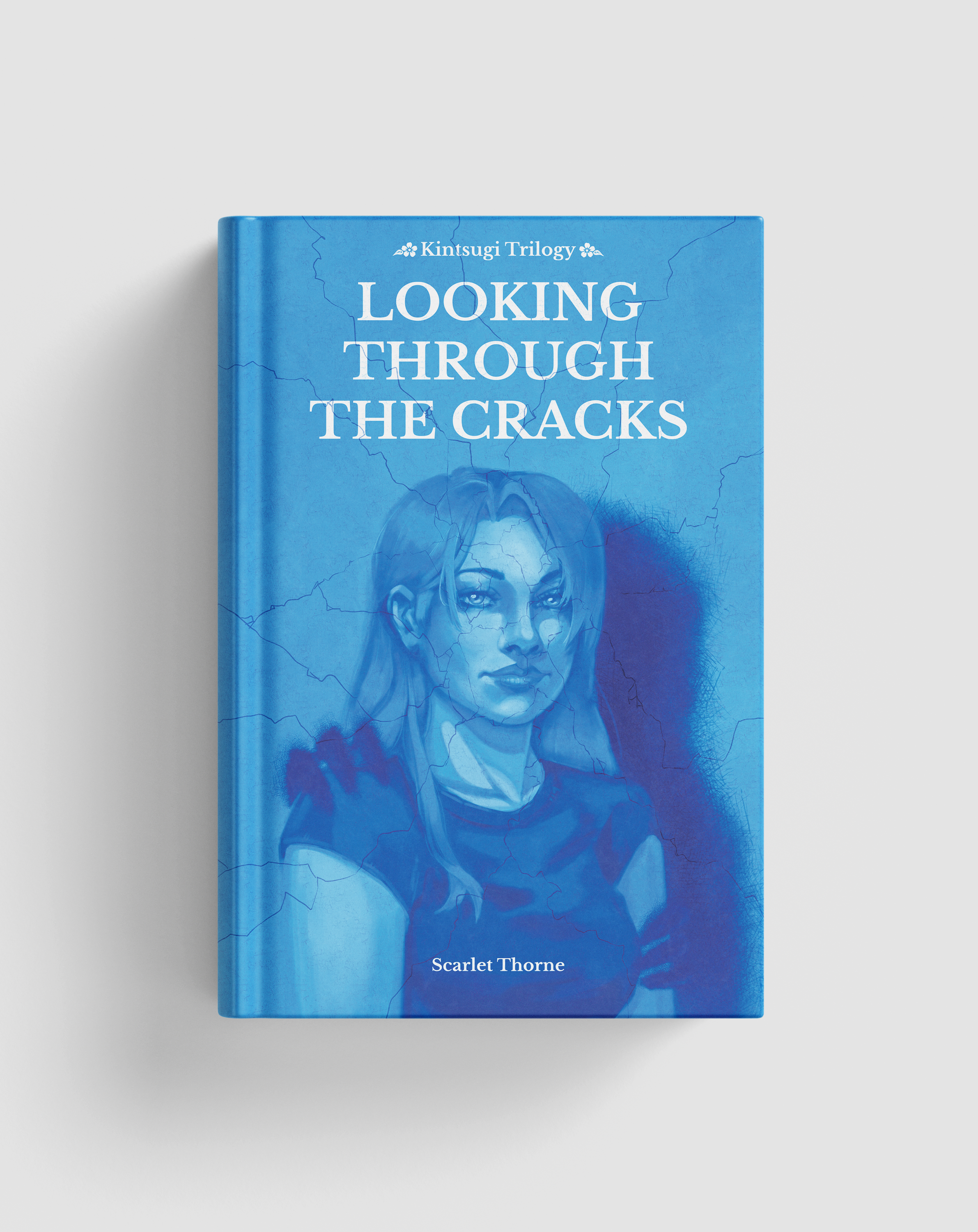 Looking Through The Cracks