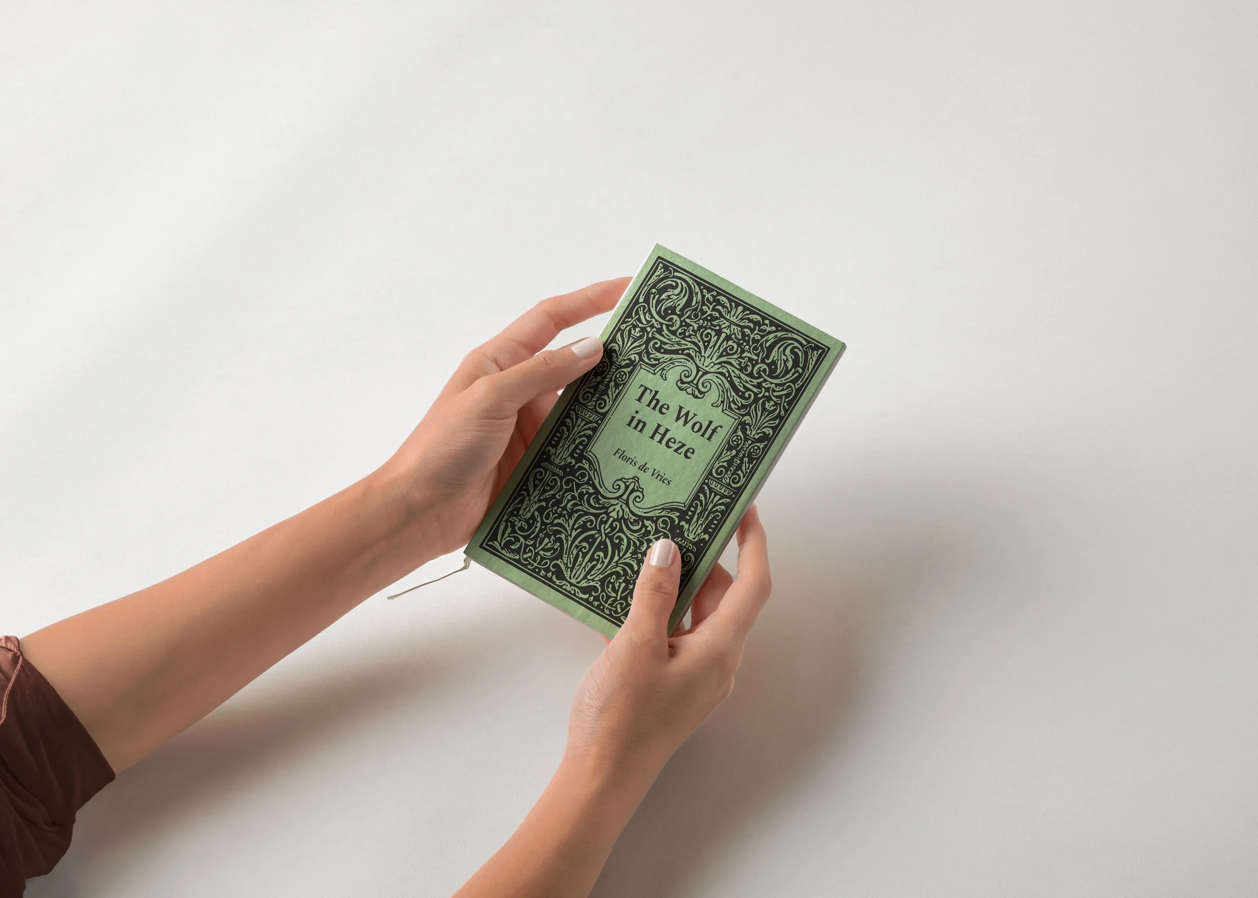 Book cover - Wolf in Heze