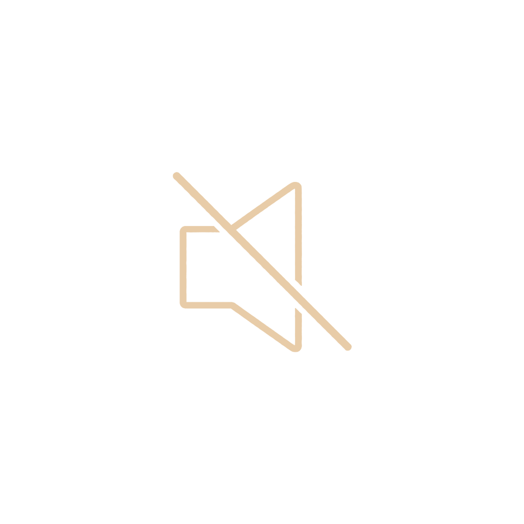 North Theory | Muted speaker icon with slash indicating sound is muted.