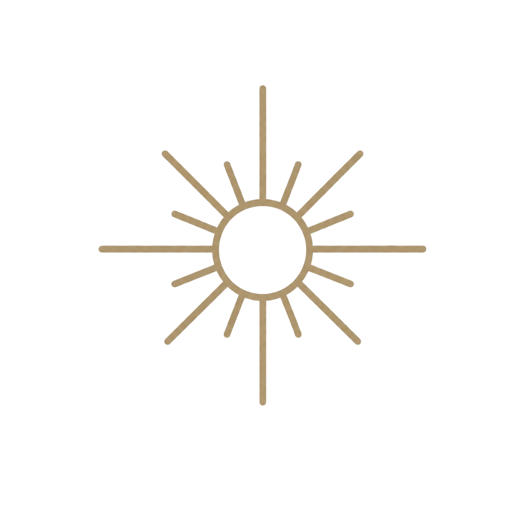 North Theory |  A logo with a central circle and multiple lines radiating outward, resembling a stylized sun or starburst in a gold or bronze color.